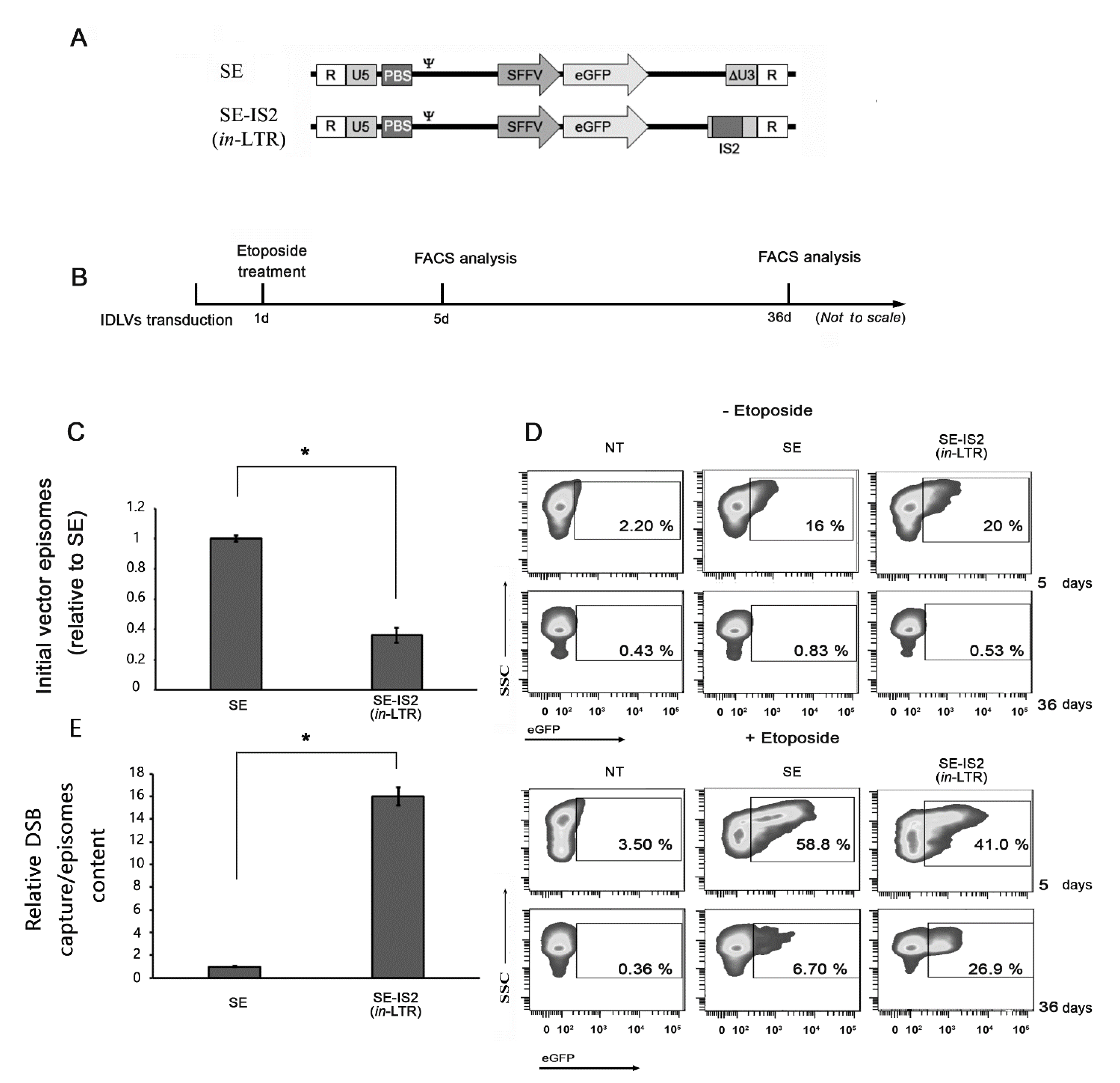 Pharmaceutics 13 01217 g003 Pharmaceutics 13 01217 g003