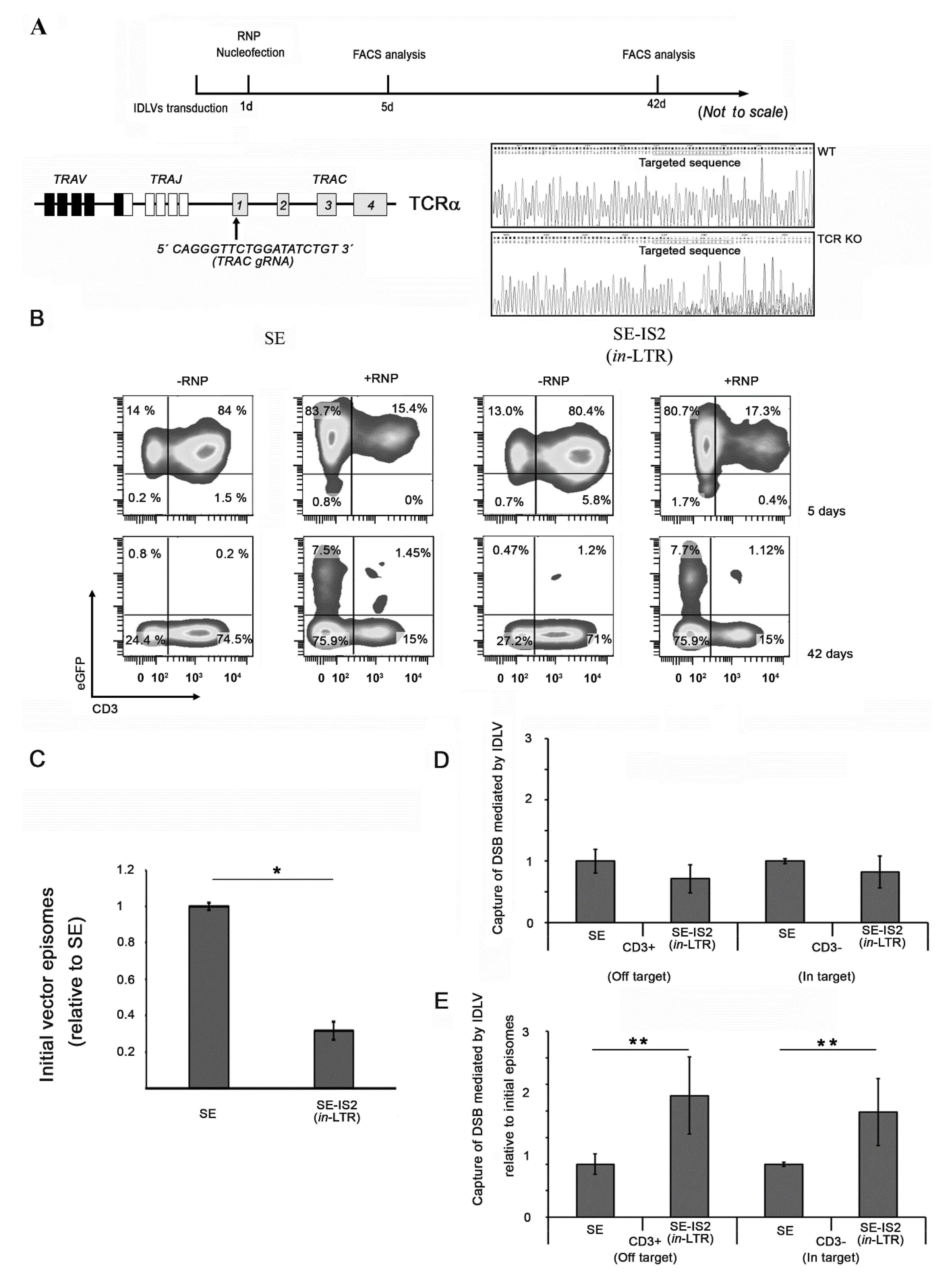 Pharmaceutics 13 01217 g004 Pharmaceutics 13 01217 g004
