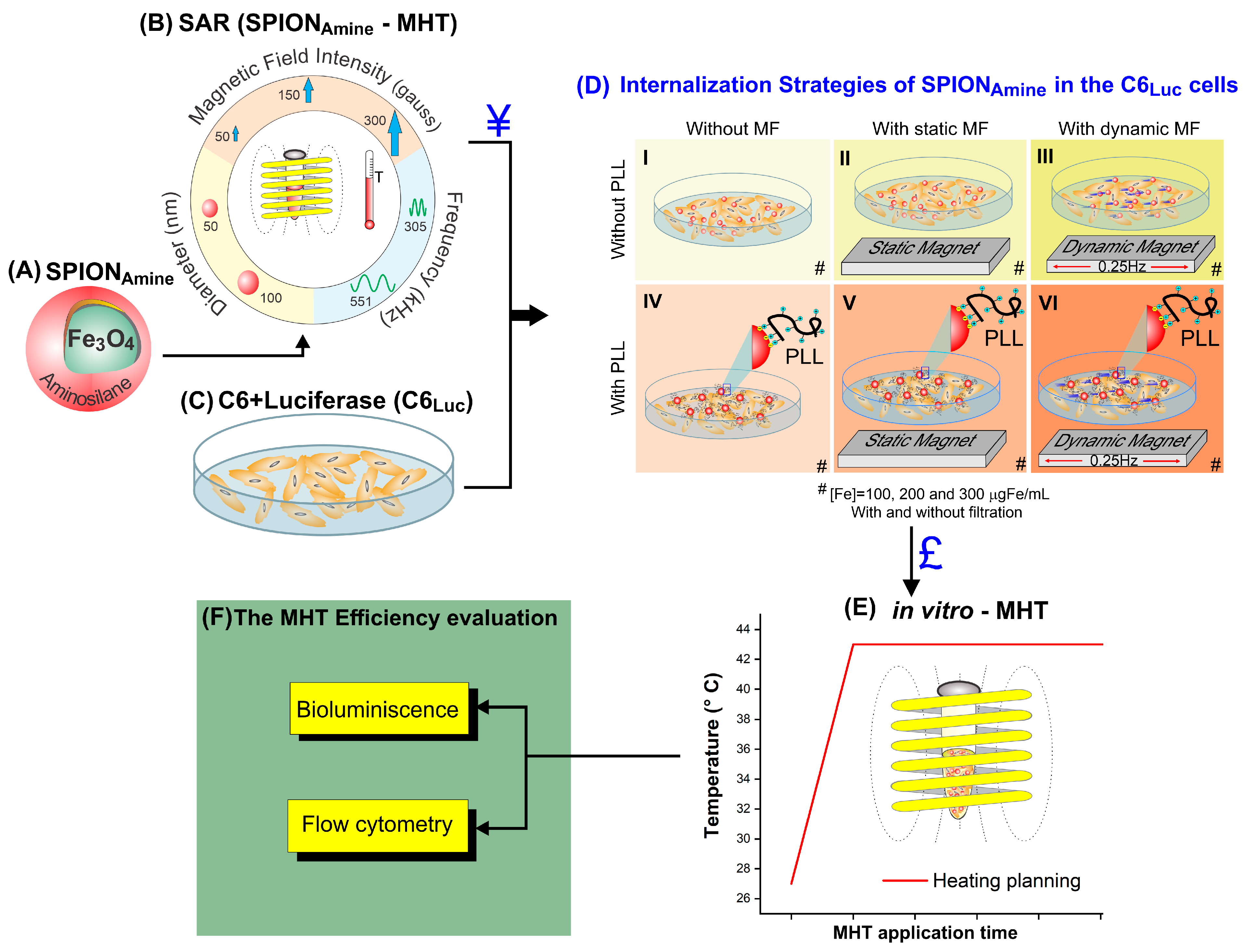 Pharmaceutics 13 01219 g001 Pharmaceutics 13 01219 g001