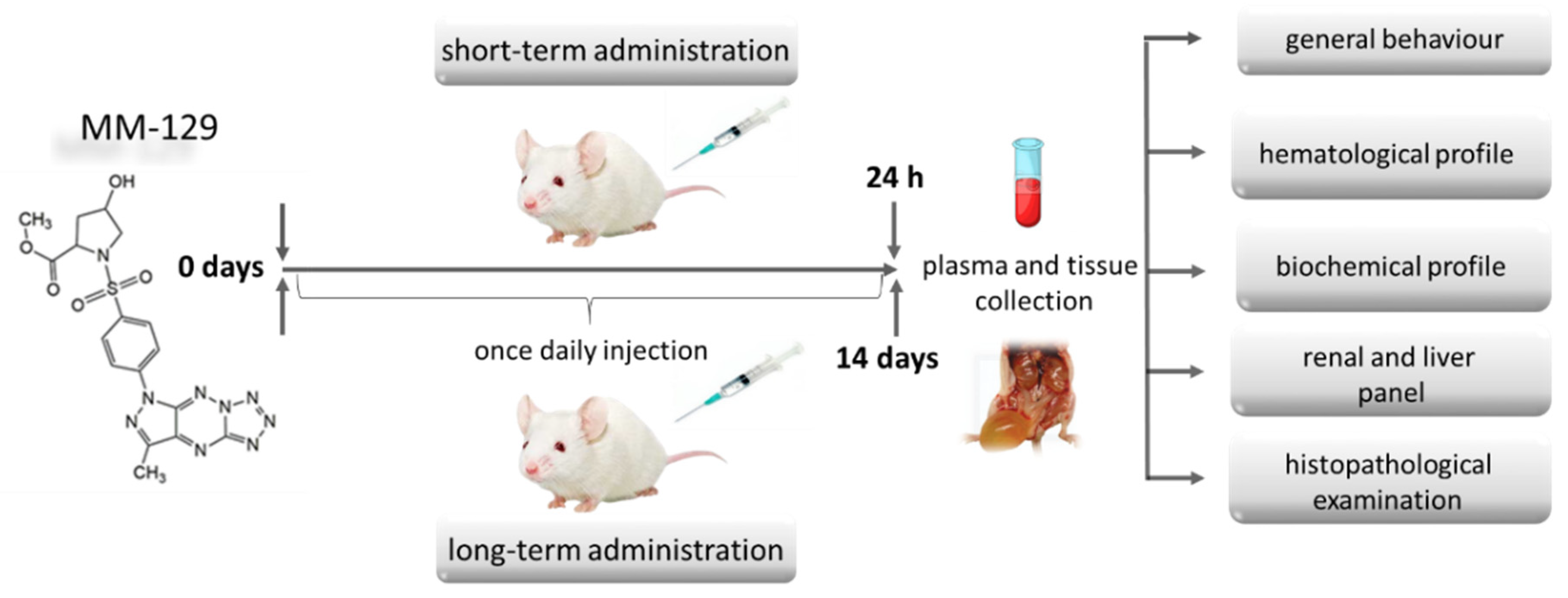 Pharmaceutics 13 01222 g003 550