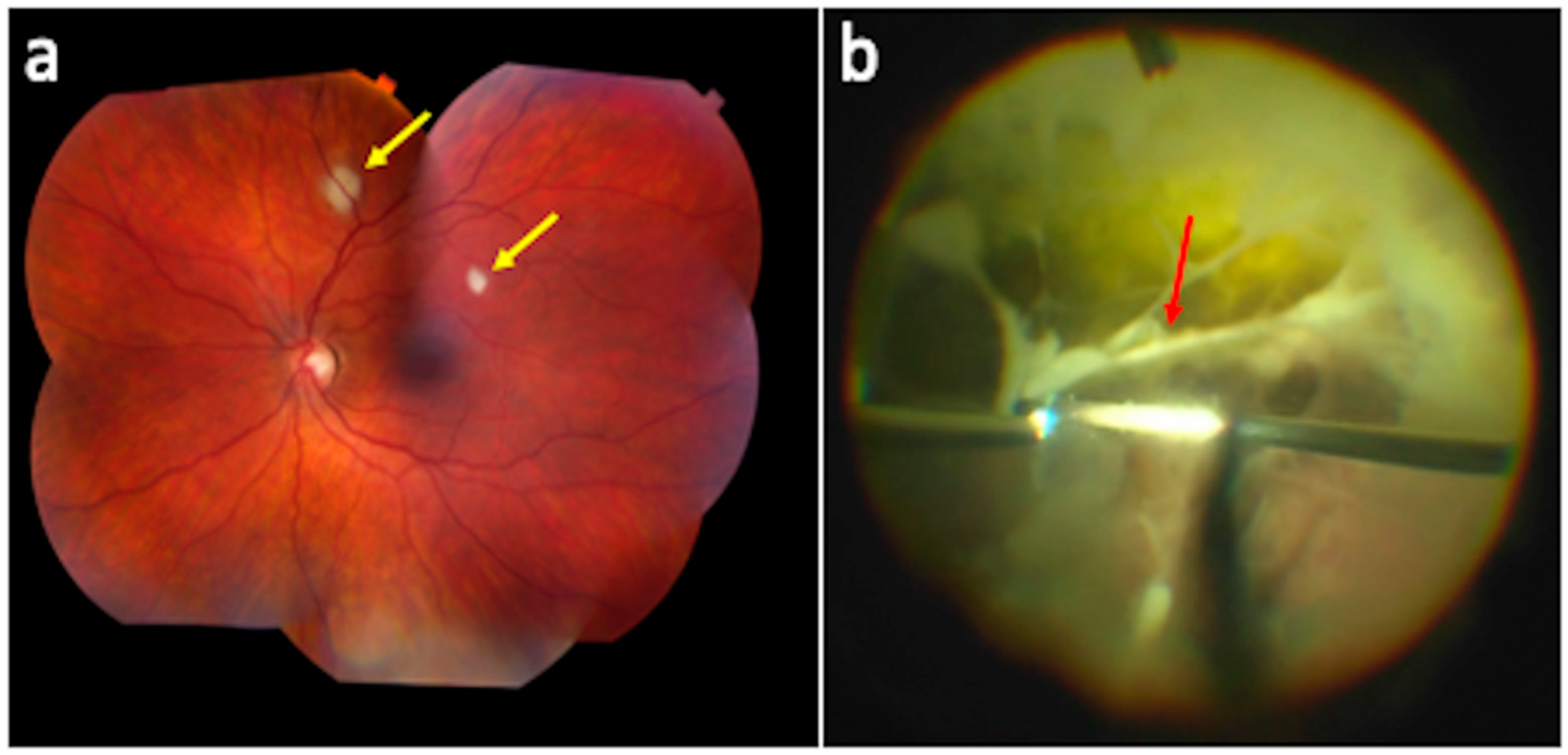 Pharmaceutics 13 01224 g003 Pharmaceutics 13 01224 g003