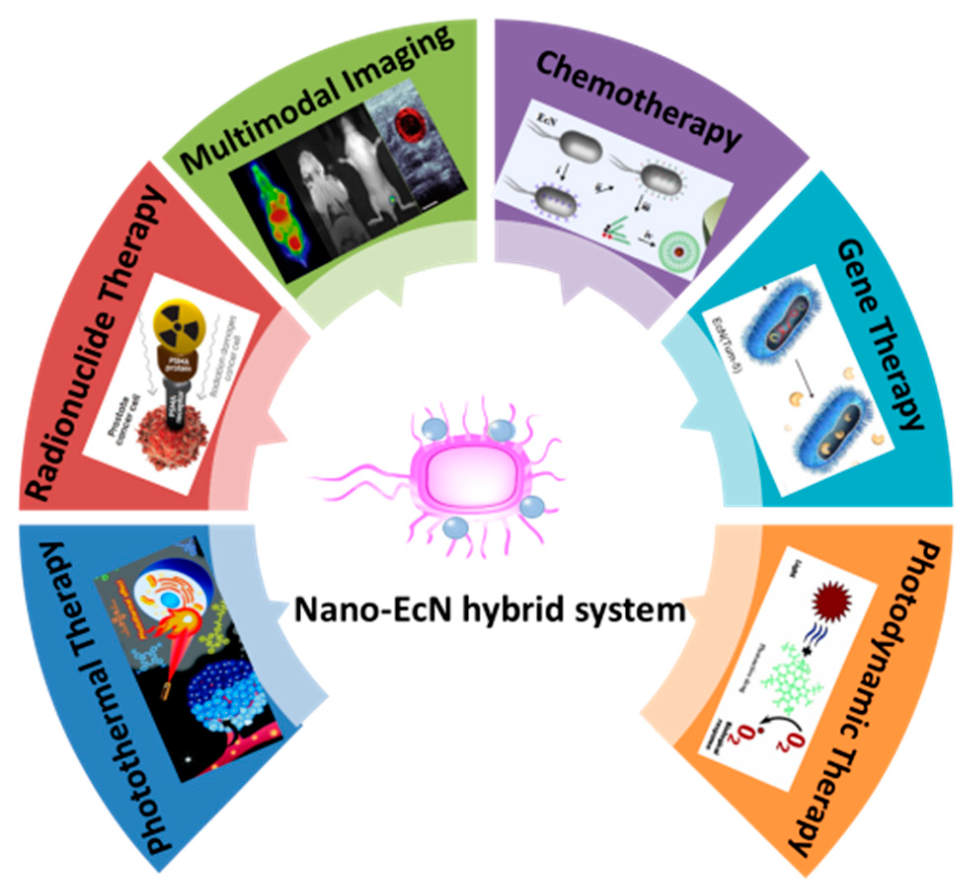 Pharmaceutics 13 01226 g005