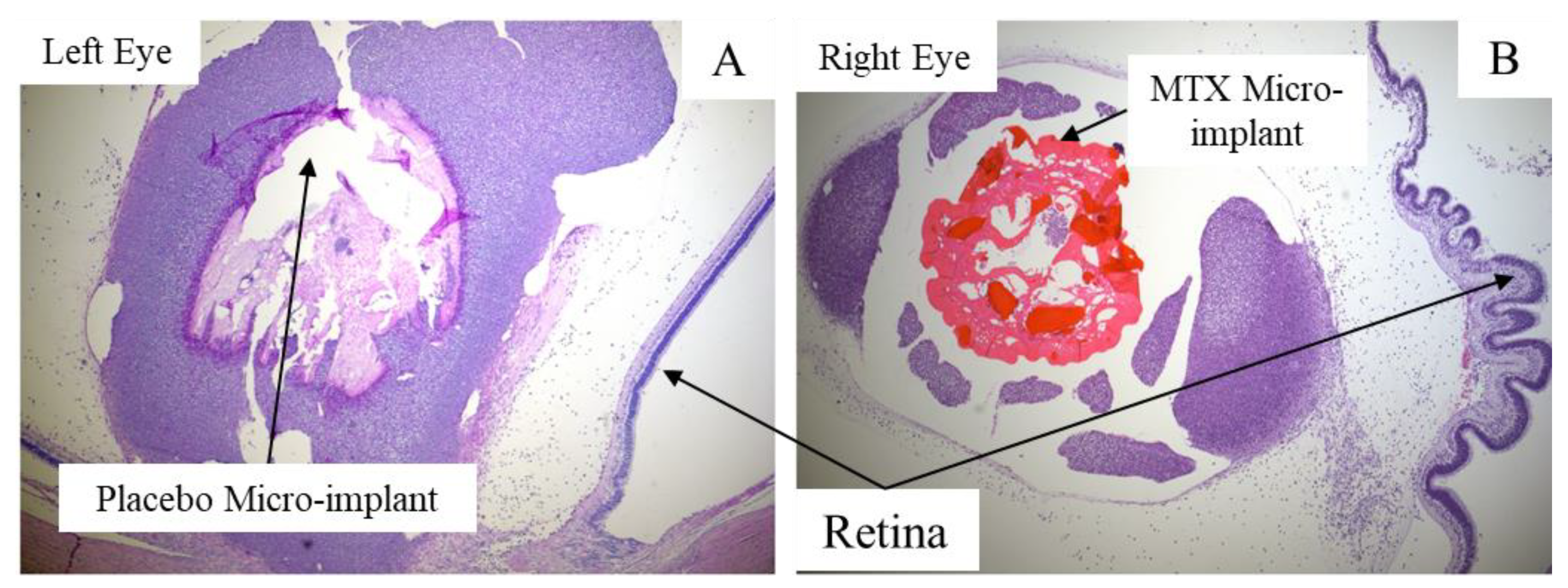Pharmaceutics 13 01227 g005