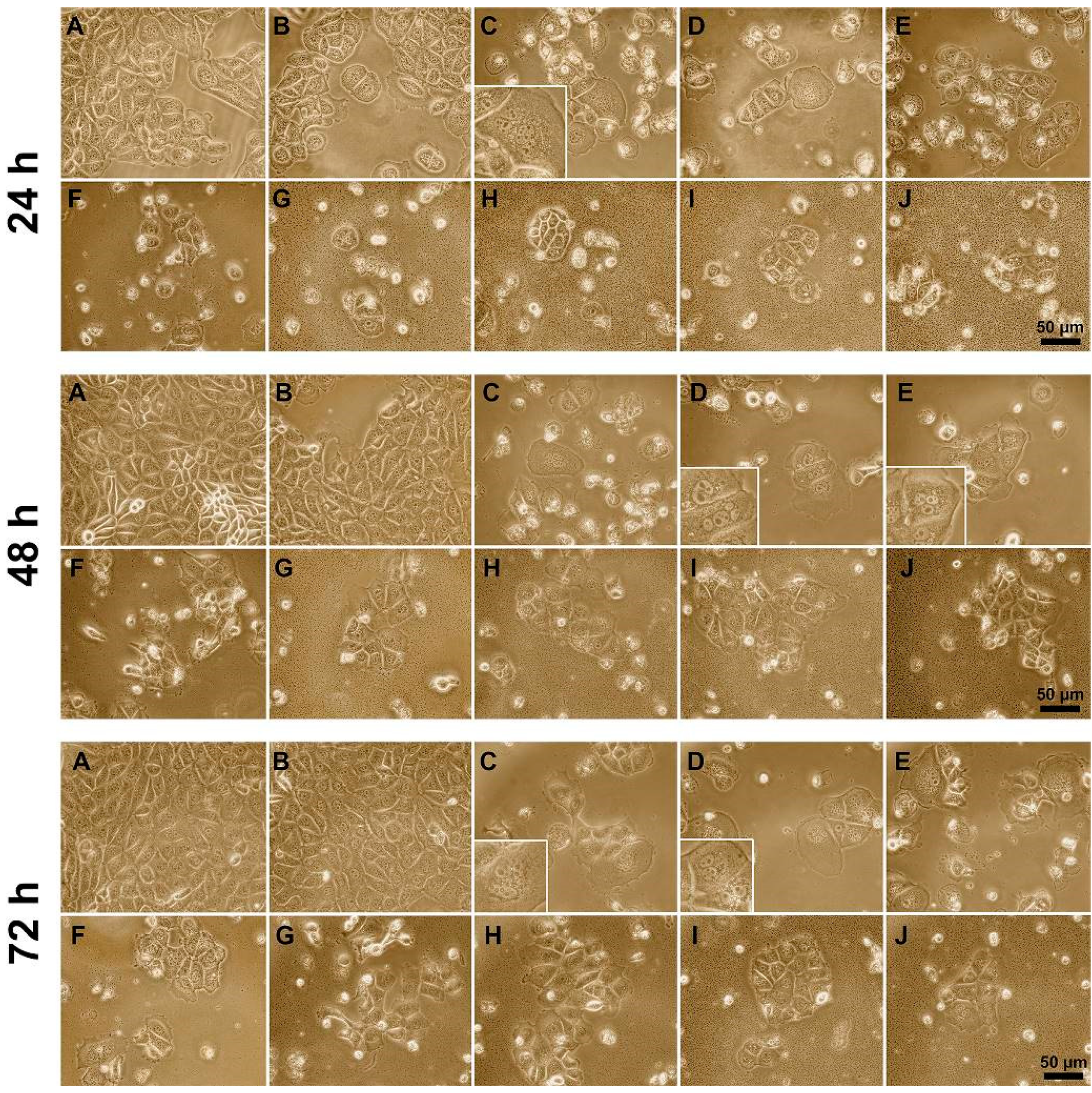 Pharmaceutics 13 01230 g004 550