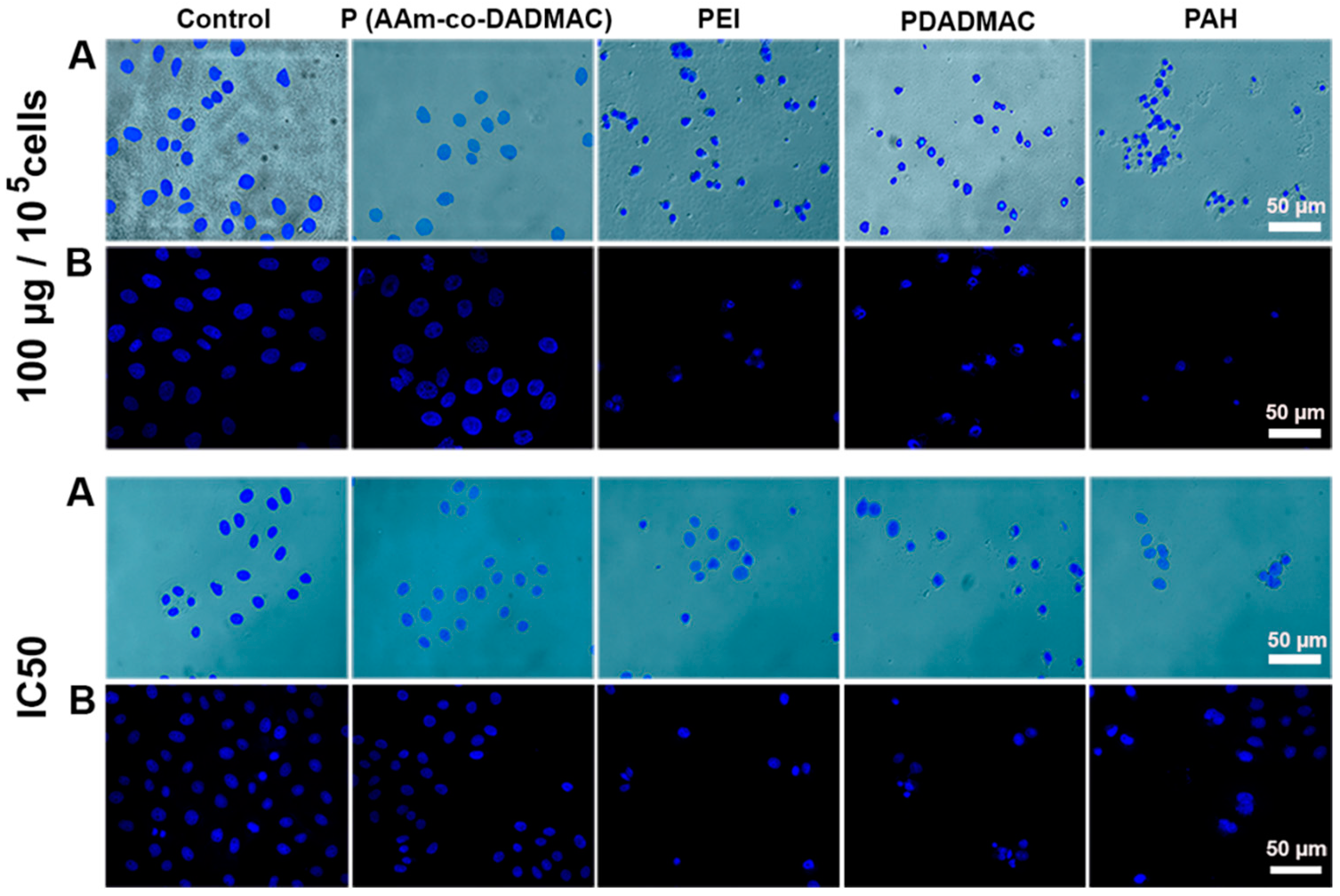 Pharmaceutics 13 01230 g005 550