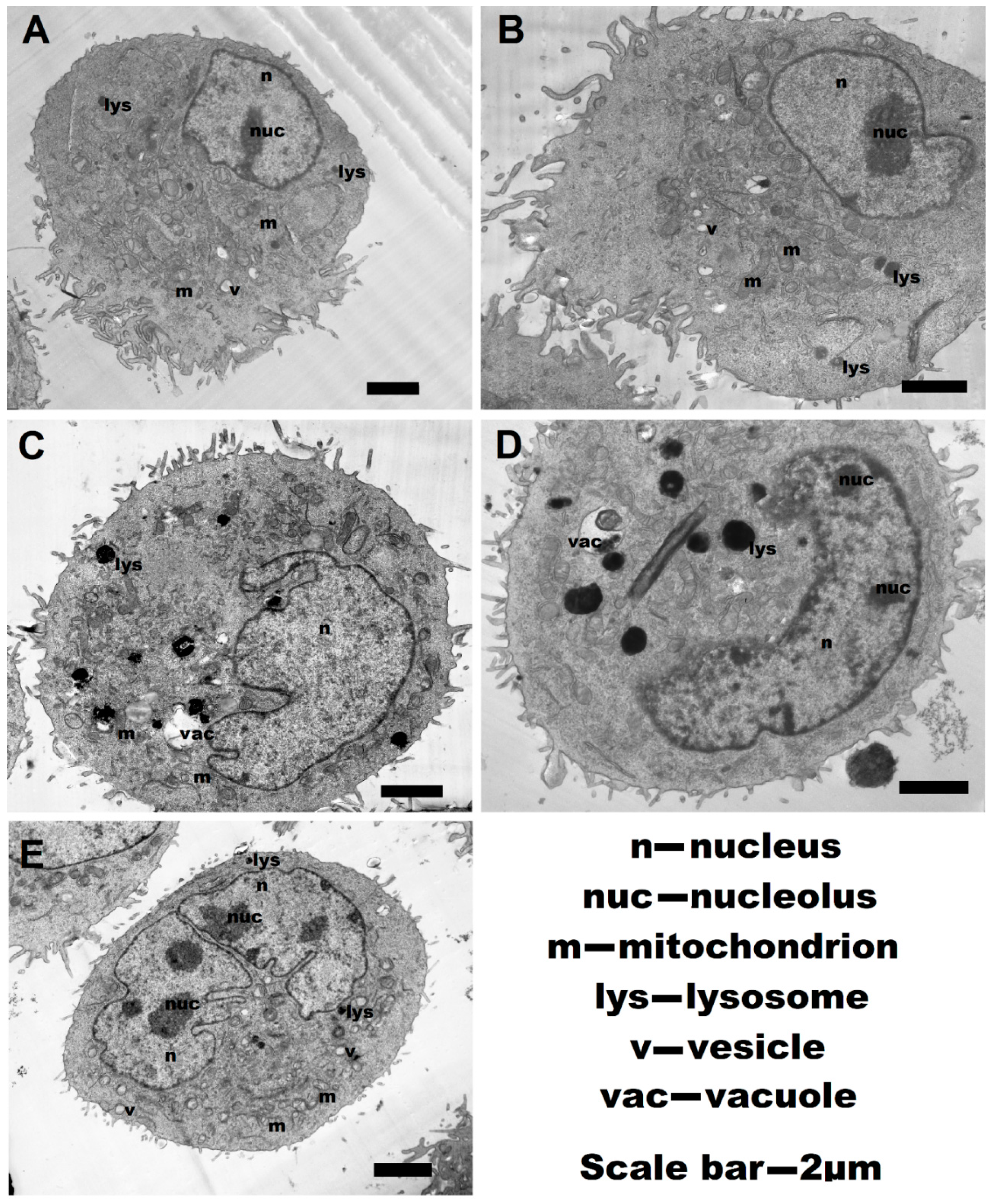 Pharmaceutics 13 01230 g008 550