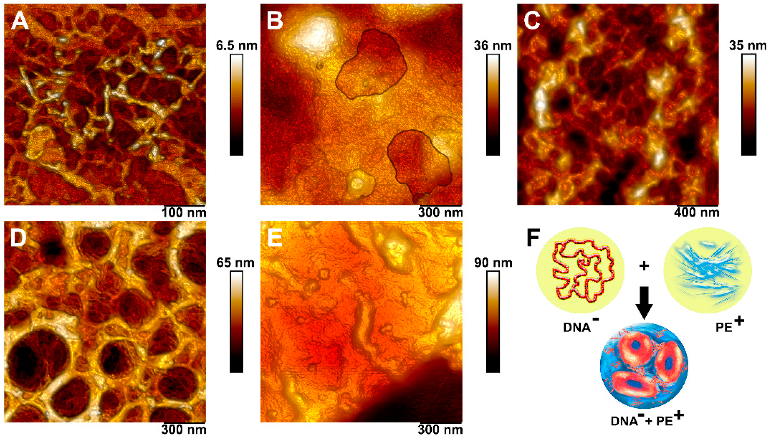 Pharmaceutics 13 01230 g010 550