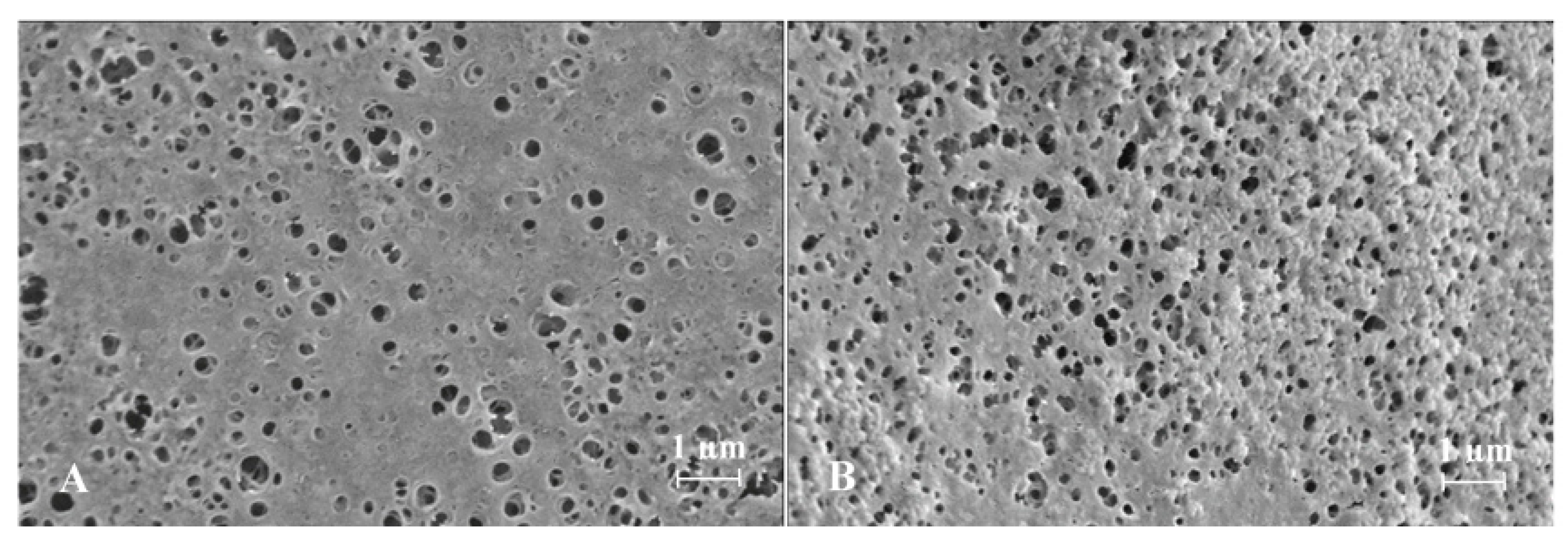 Pharmaceutics 13 01231 g002 Pharmaceutics 13 01231 g002