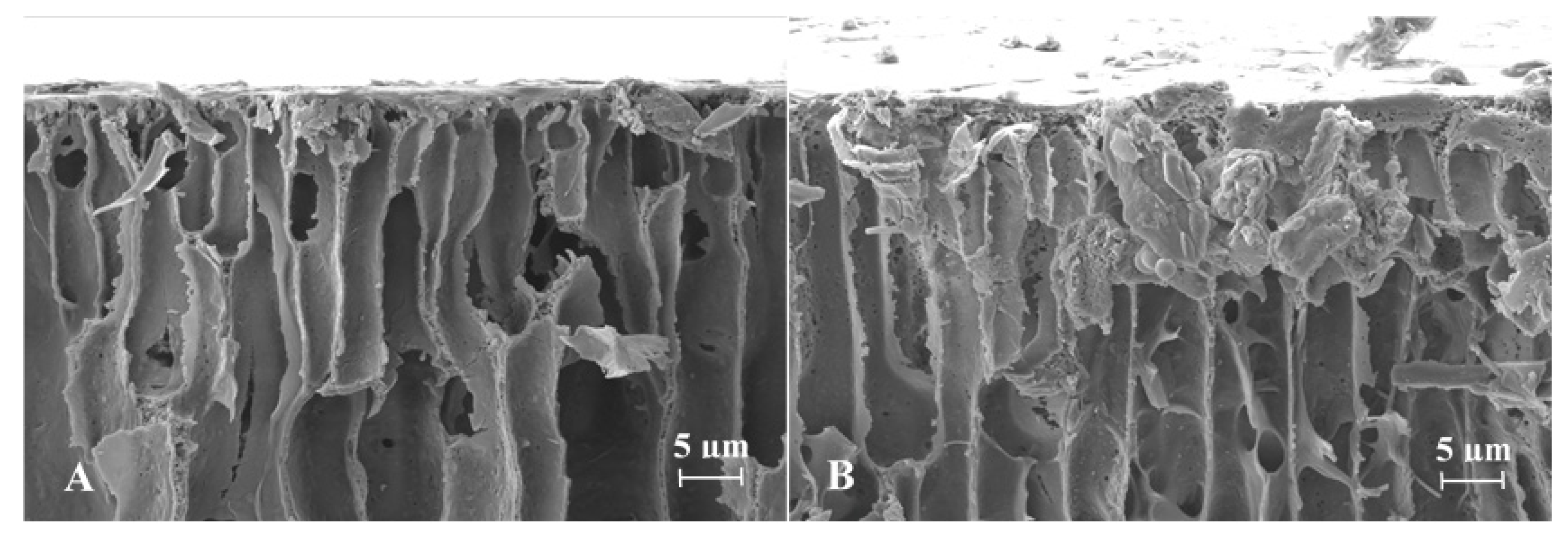 Pharmaceutics 13 01231 g003 Pharmaceutics 13 01231 g003