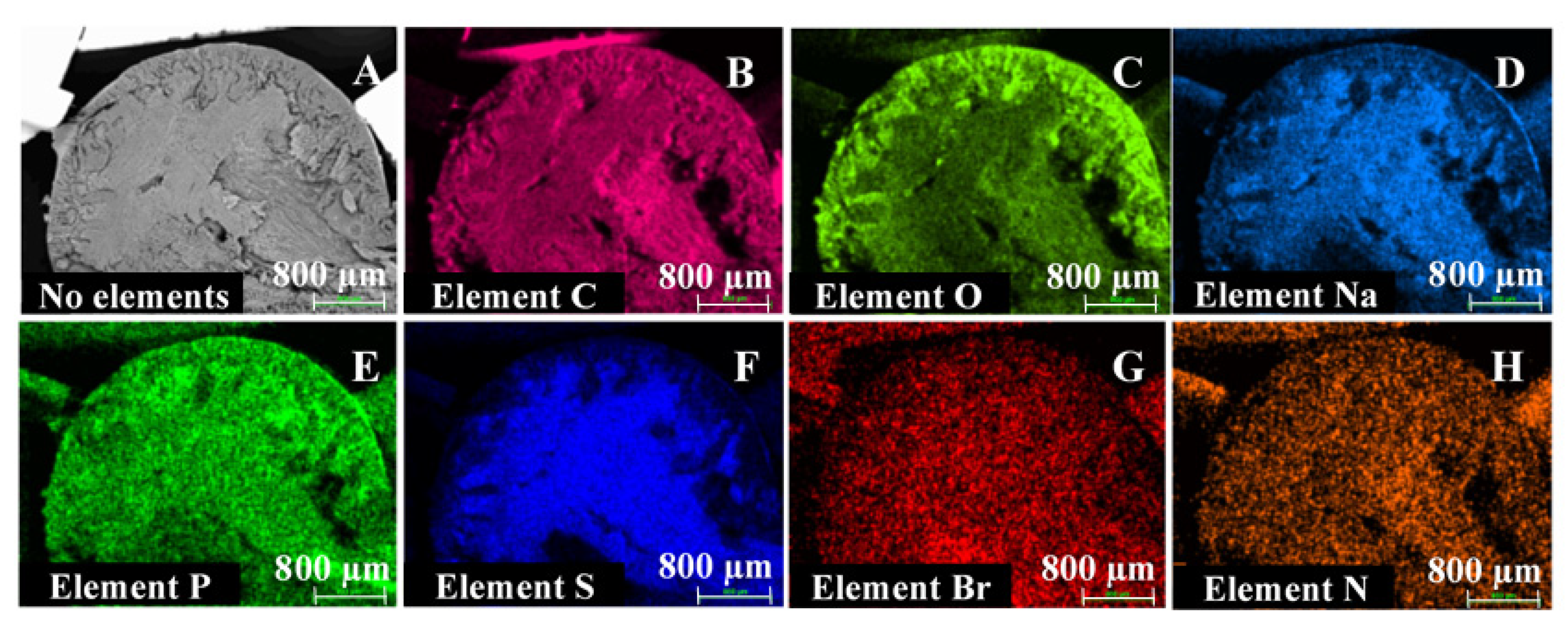 Pharmaceutics 13 01231 g005 Pharmaceutics 13 01231 g005