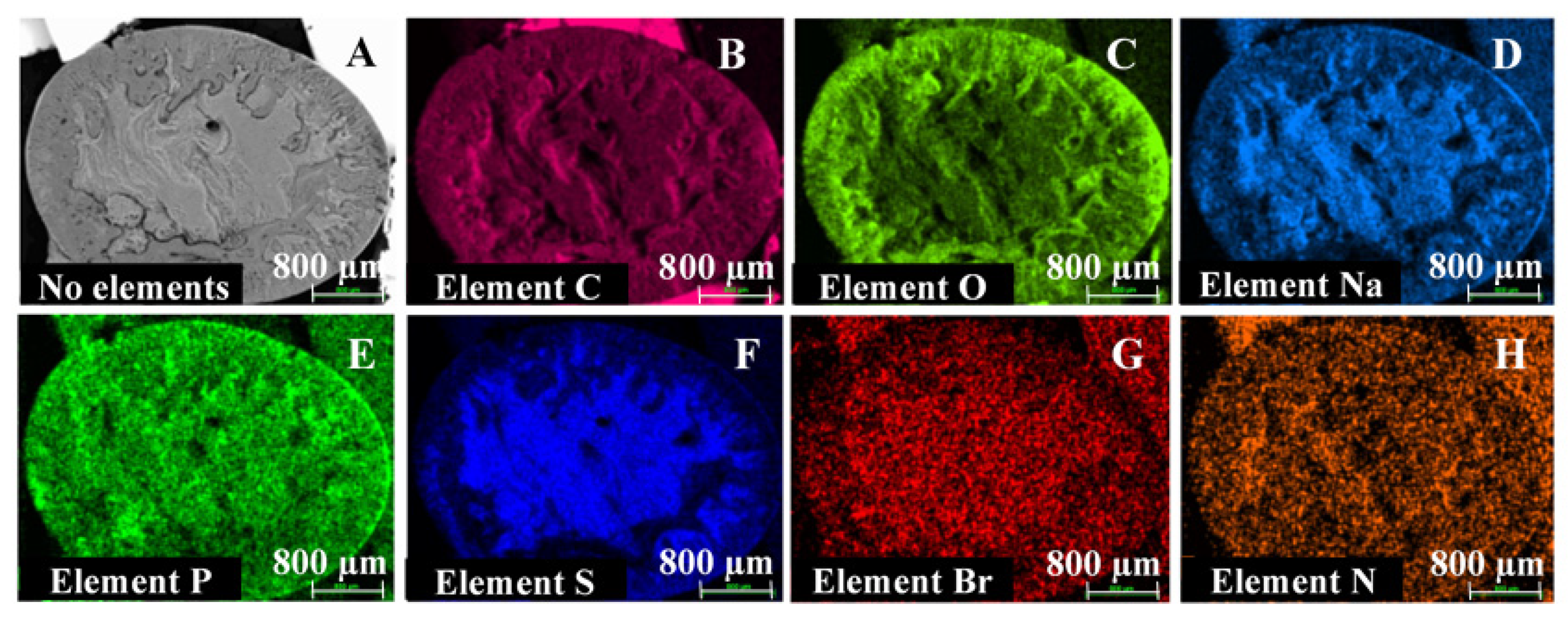 Pharmaceutics 13 01231 g006 Pharmaceutics 13 01231 g006