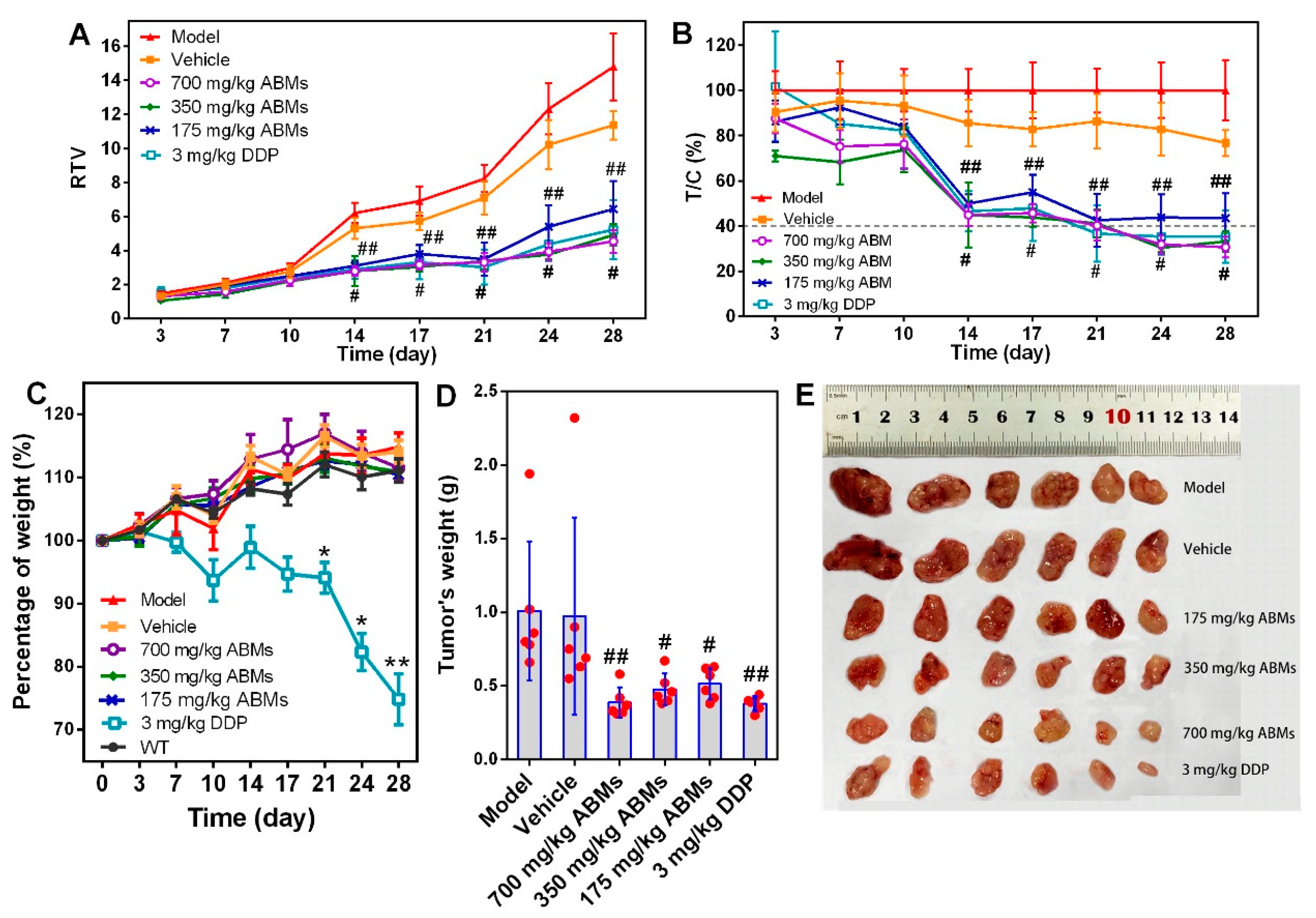 Pharmaceutics 13 01236 g008 550