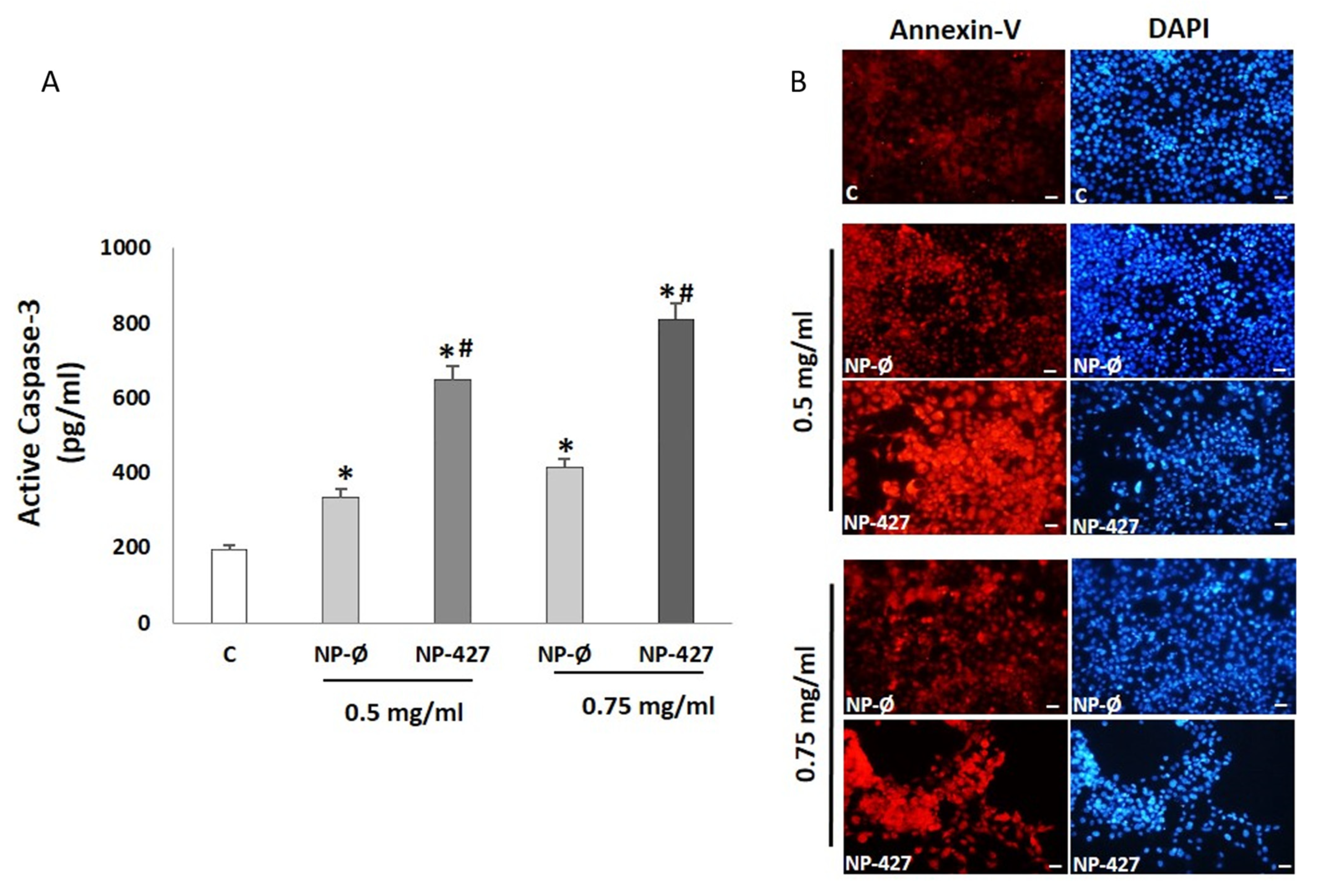 Pharmaceutics 13 01242 g003 Pharmaceutics 13 01242 g003