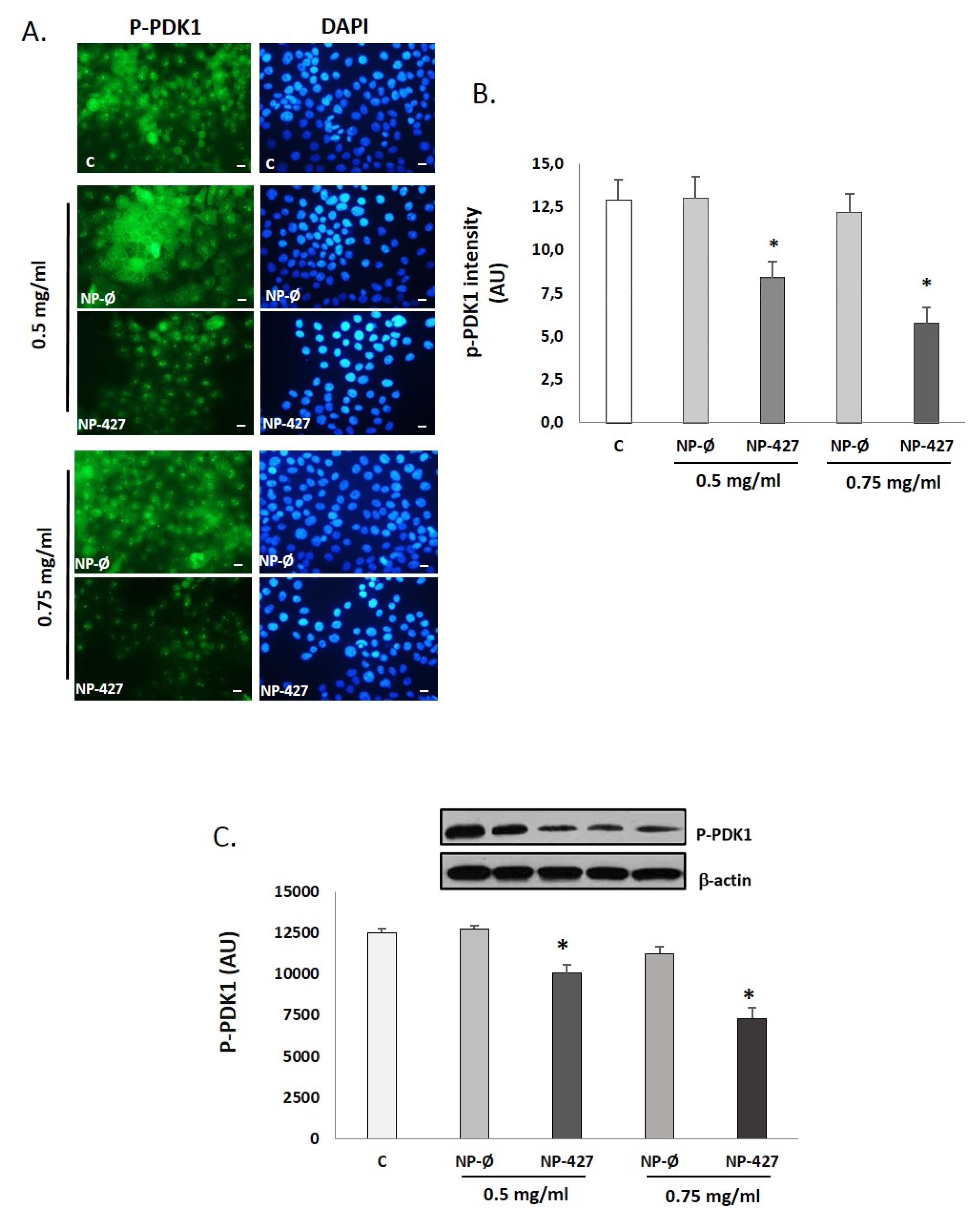 Pharmaceutics 13 01242 g007 Pharmaceutics 13 01242 g007