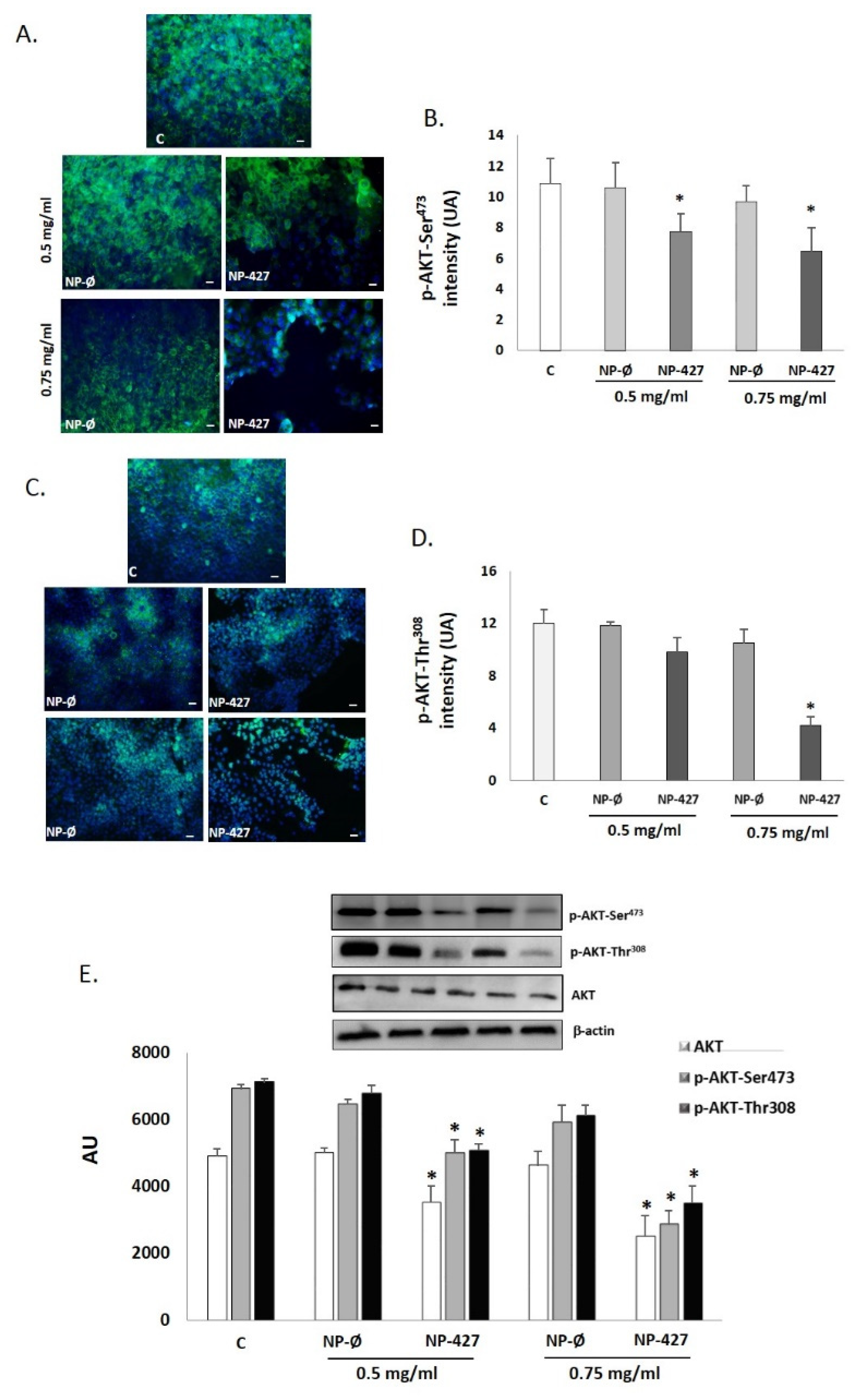 Pharmaceutics 13 01242 g008 Pharmaceutics 13 01242 g008