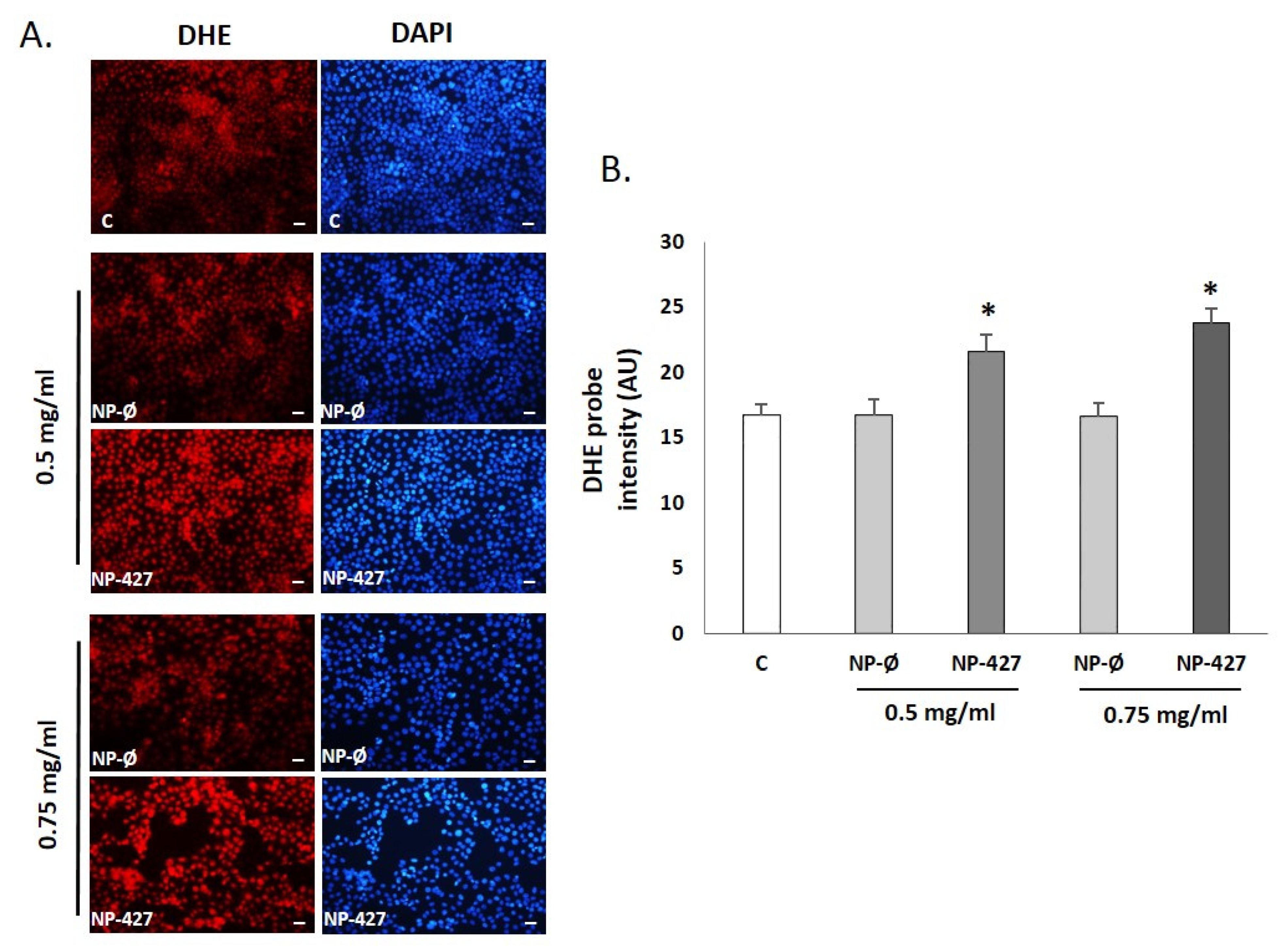 Pharmaceutics 13 01242 g009 Pharmaceutics 13 01242 g009