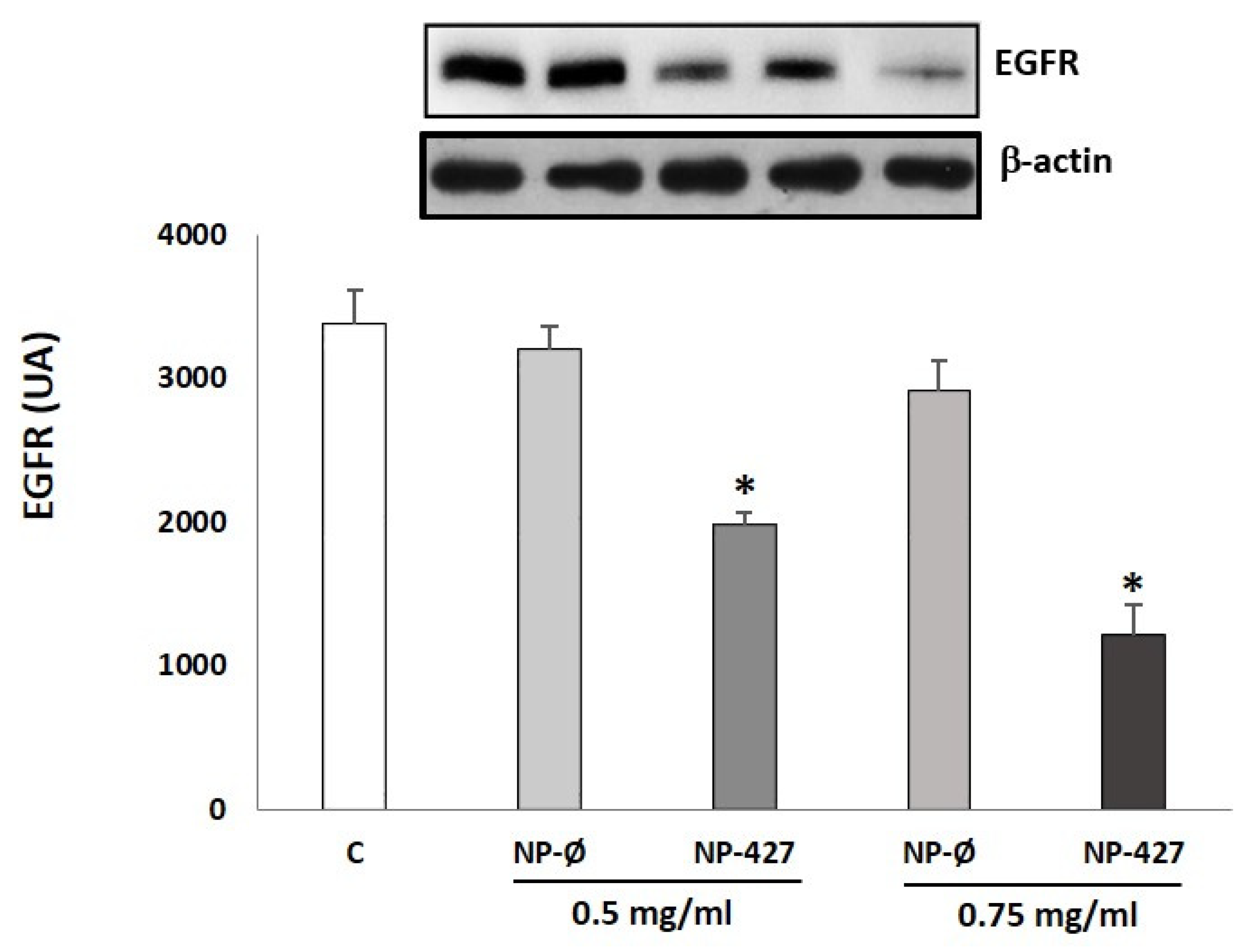 Pharmaceutics 13 01242 g010 Pharmaceutics 13 01242 g010