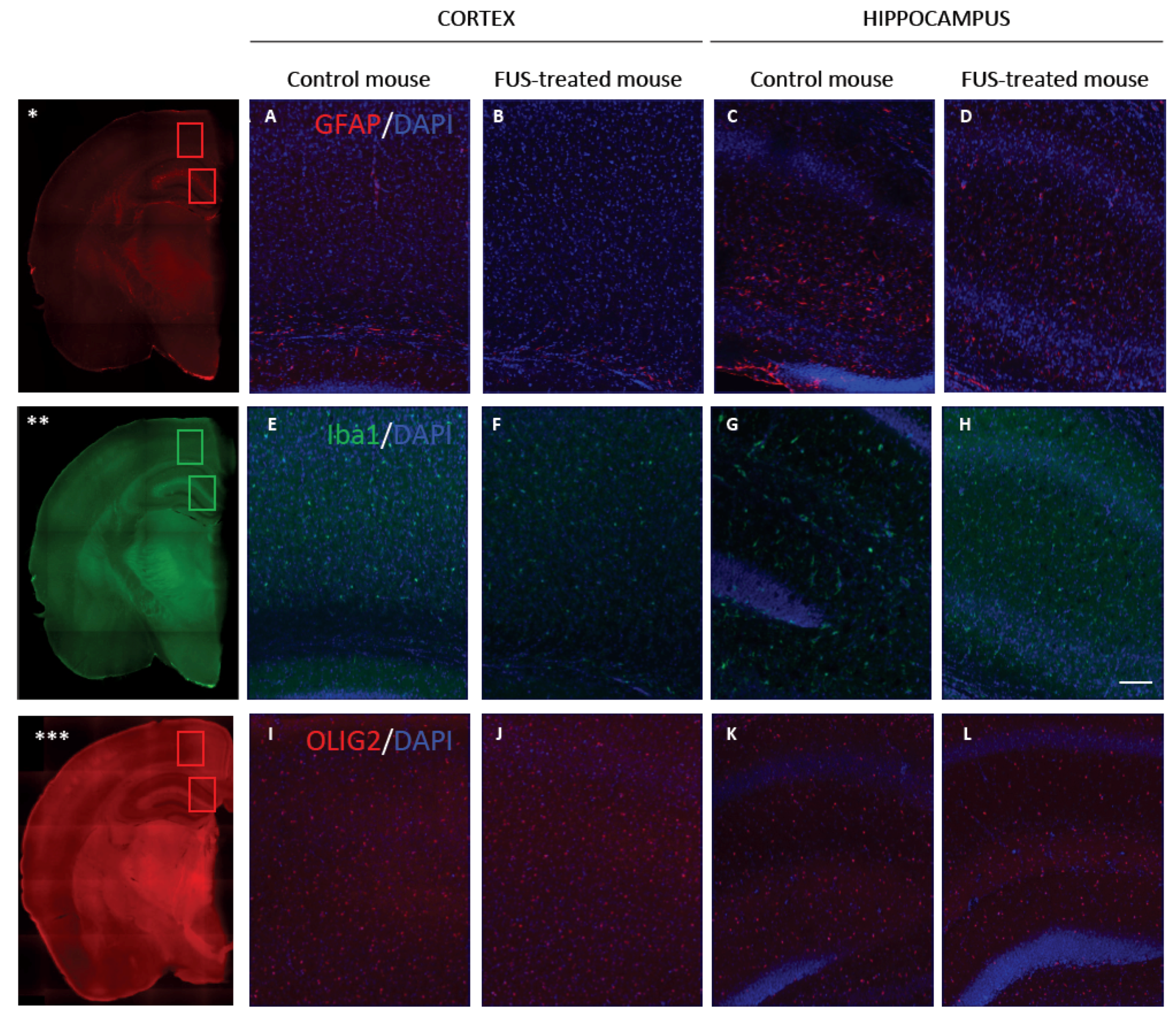 Pharmaceutics 13 01245 g005 Pharmaceutics 13 01245 g005