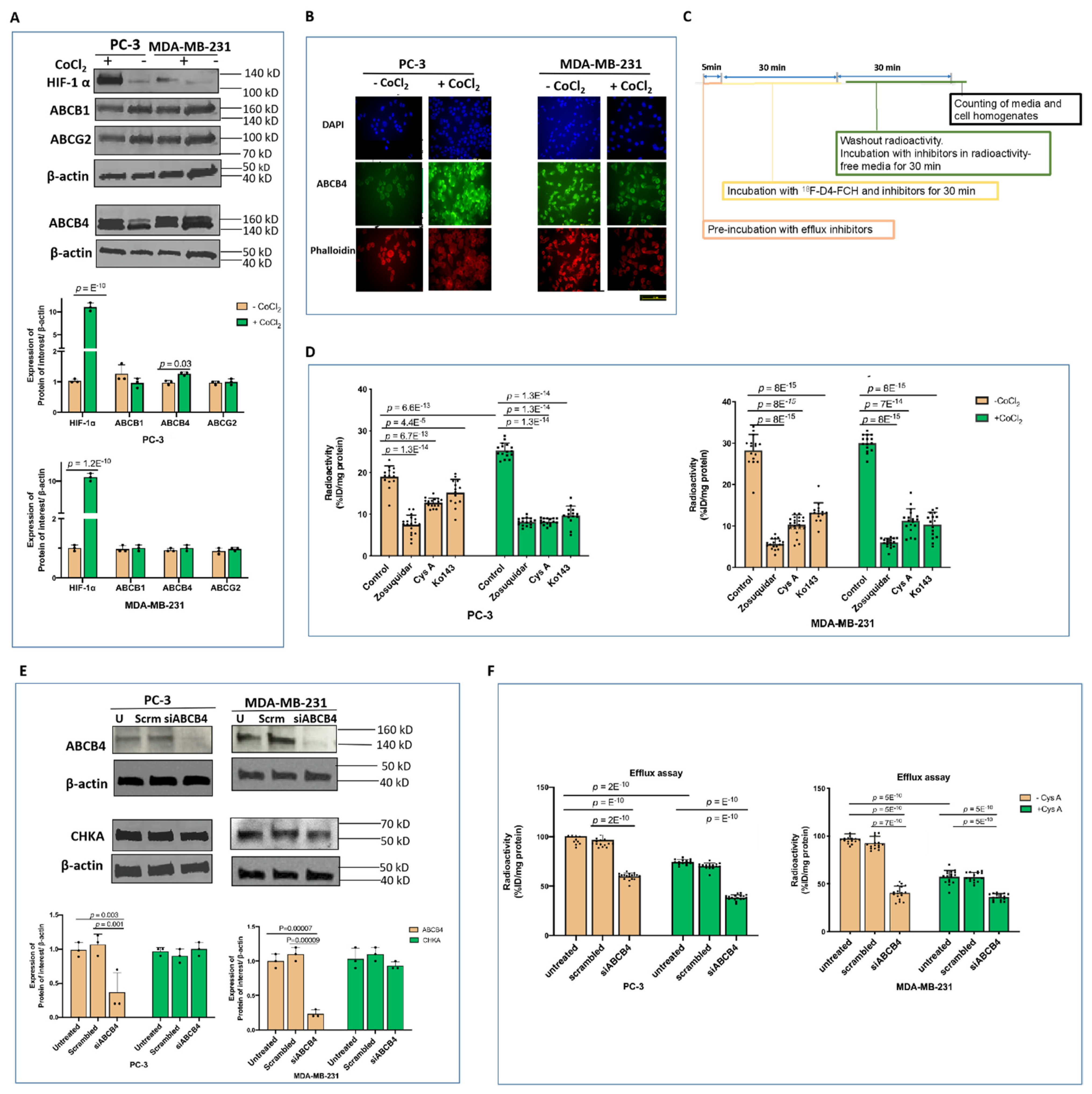 Pharmaceutics 13 01246 g004