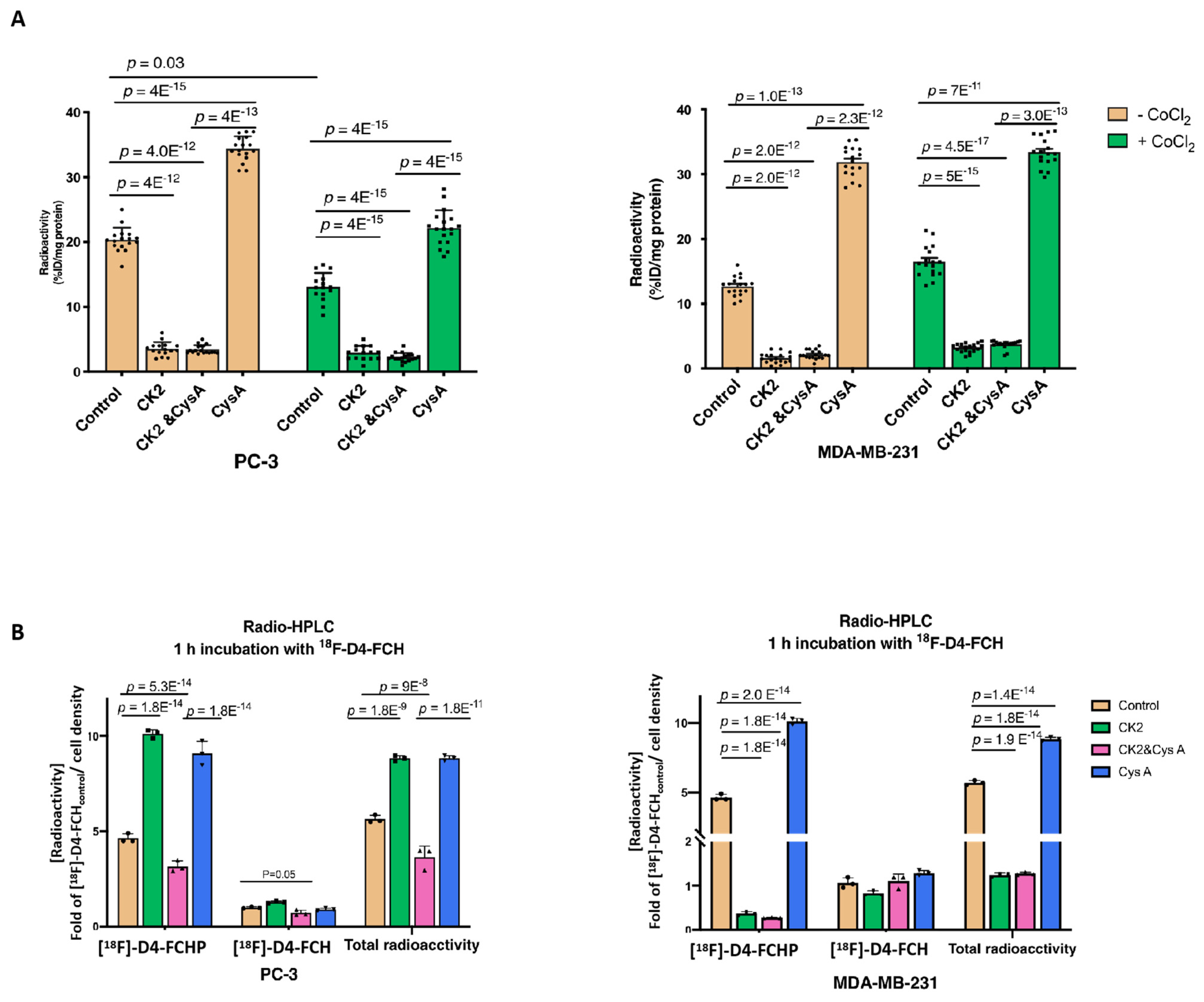 Pharmaceutics 13 01246 g005