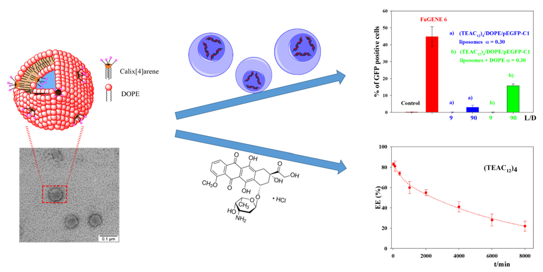 Pharmaceutics Free Full Text Multivalent Calixarene Based Liposomes As Platforms For Gene And Drug Delivery Html Pharmaceutics Free Full Text Multivalent Calixarene Based Liposomes As Platforms For Gene And Drug Delivery Html