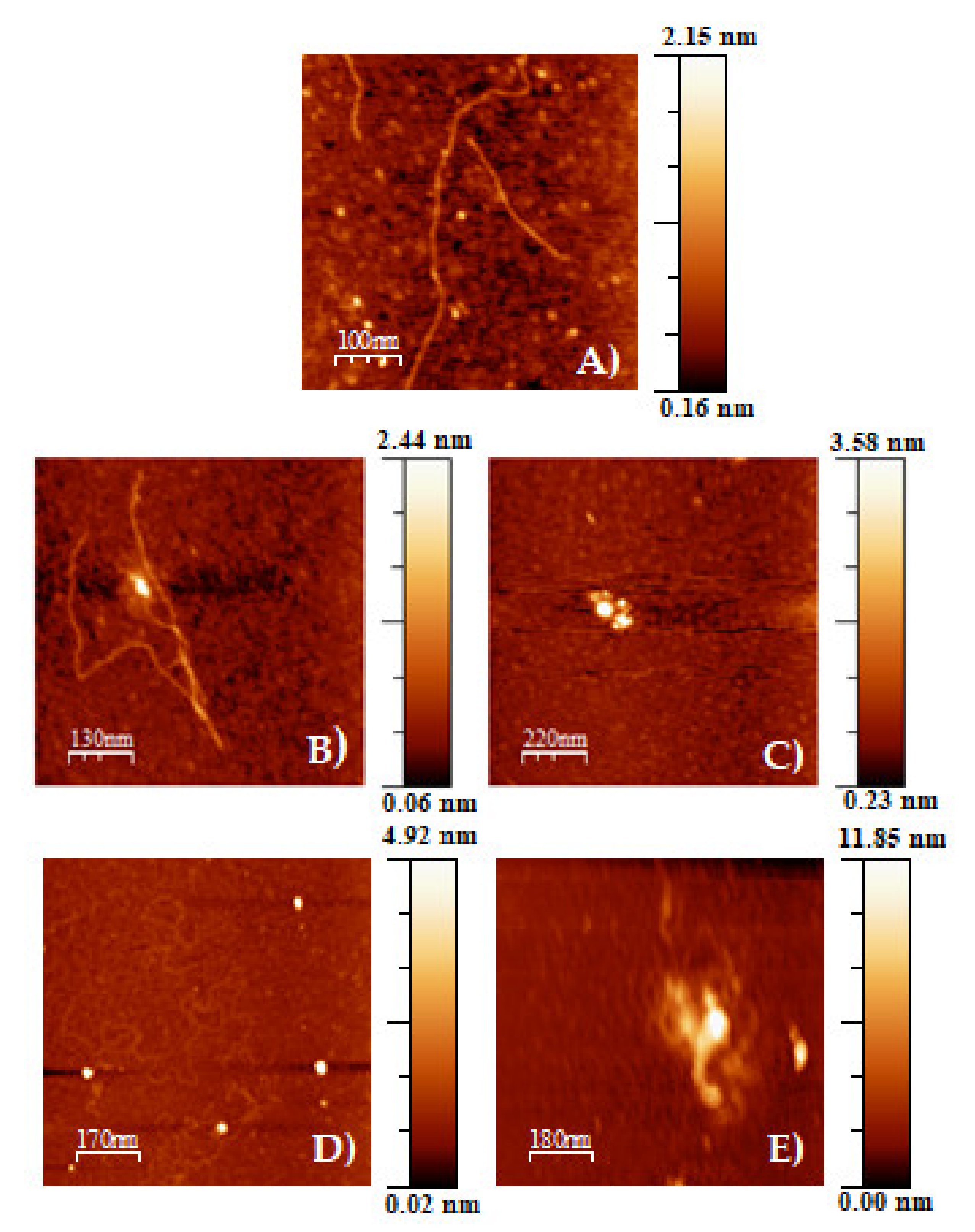 Pharmaceutics 13 01250 g006