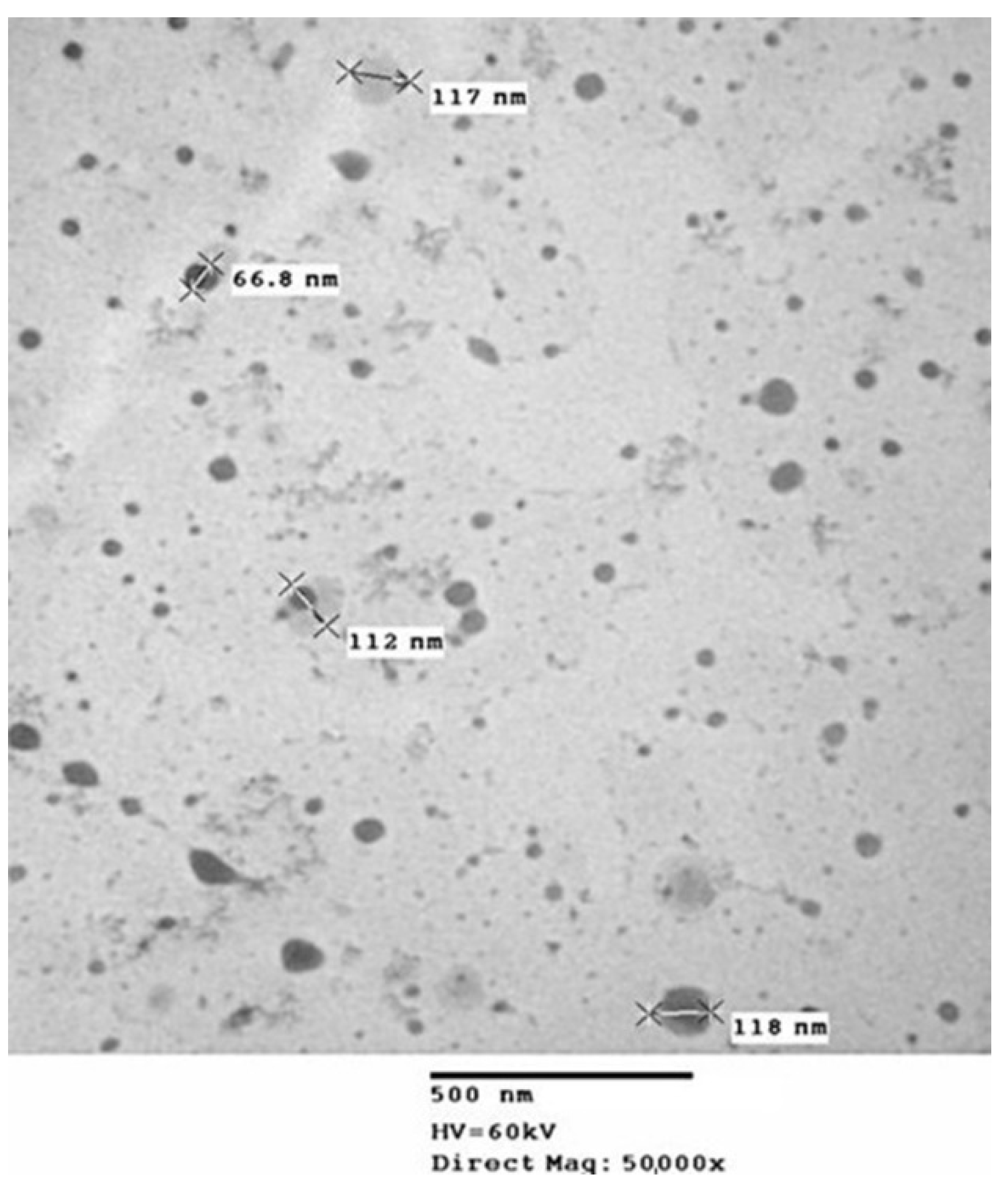 Pharmaceutics 13 01251 g001