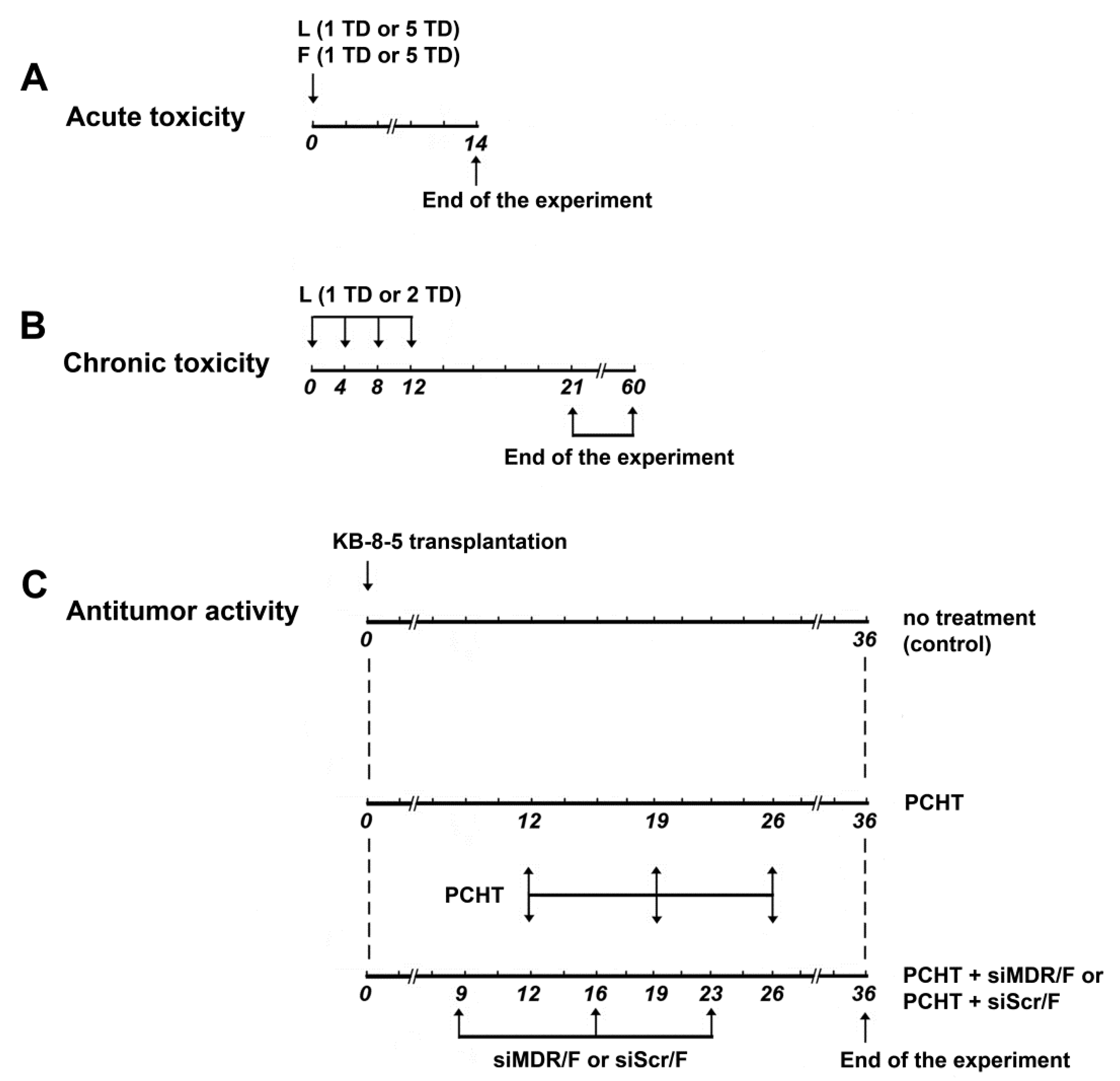 Pharmaceutics 13 01252 g001
