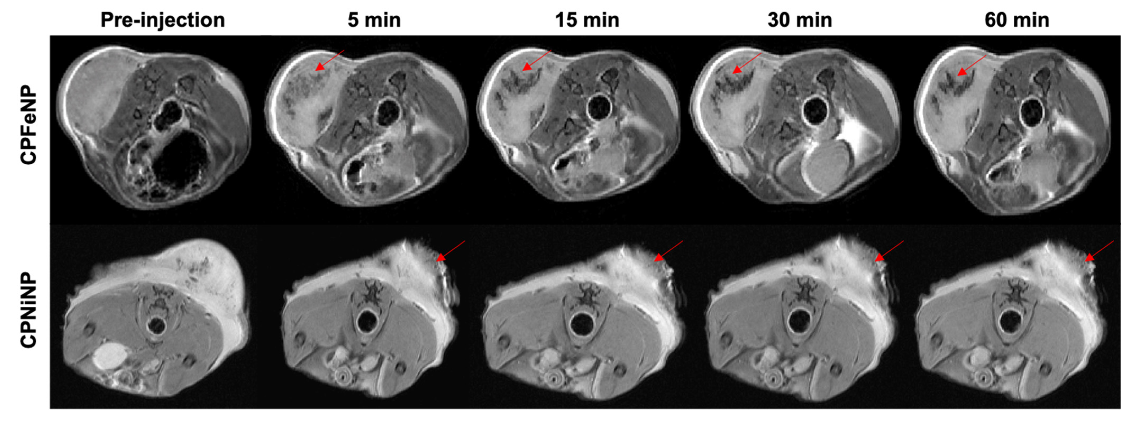 Pharmaceutics 13 01258 g008
