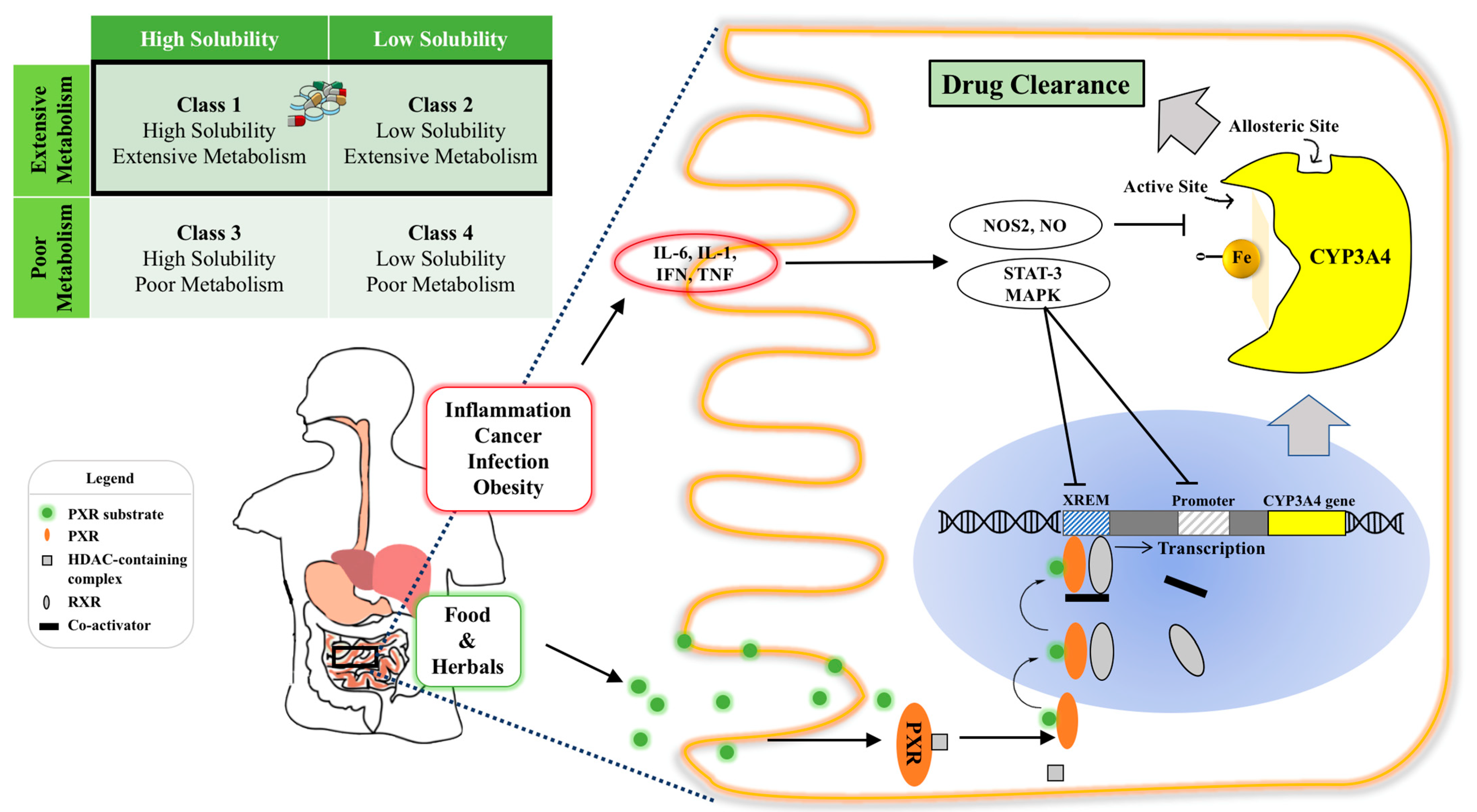 Pharmaceutics 13 01261 g001 Pharmaceutics 13 01261 g001