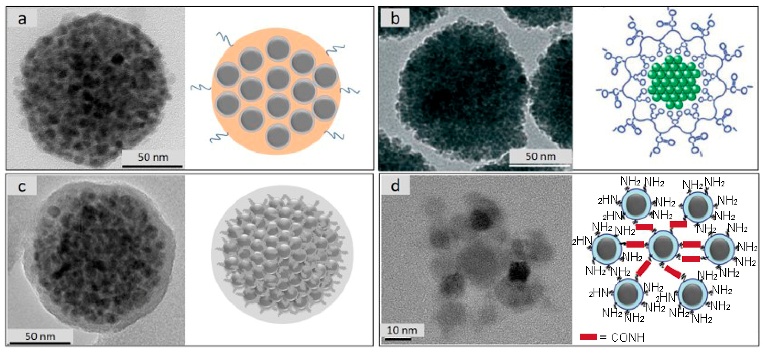 Pharmaceutics 13 01262 g006 Pharmaceutics 13 01262 g006
