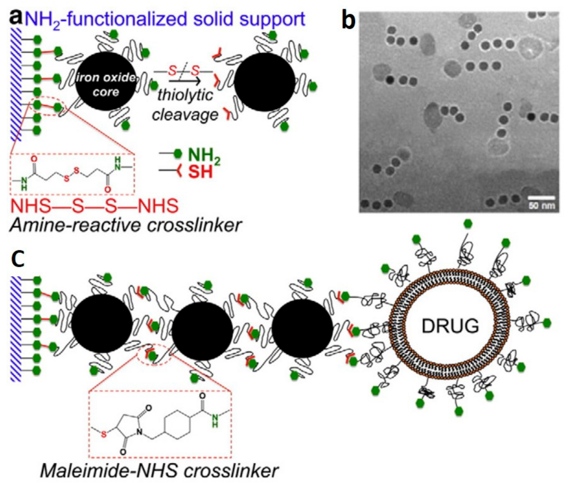 Pharmaceutics 13 01262 g010 Pharmaceutics 13 01262 g010