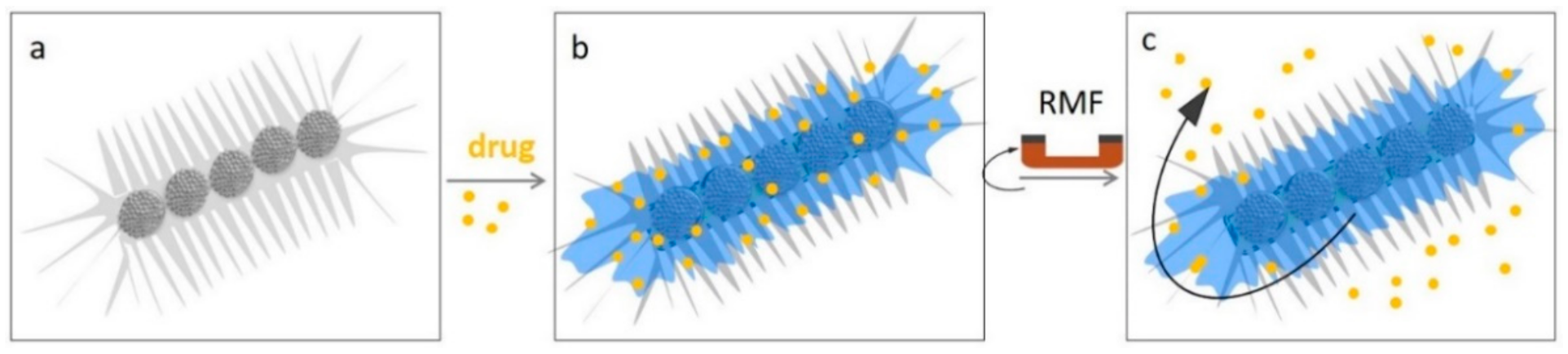 Pharmaceutics 13 01262 g012 Pharmaceutics 13 01262 g012