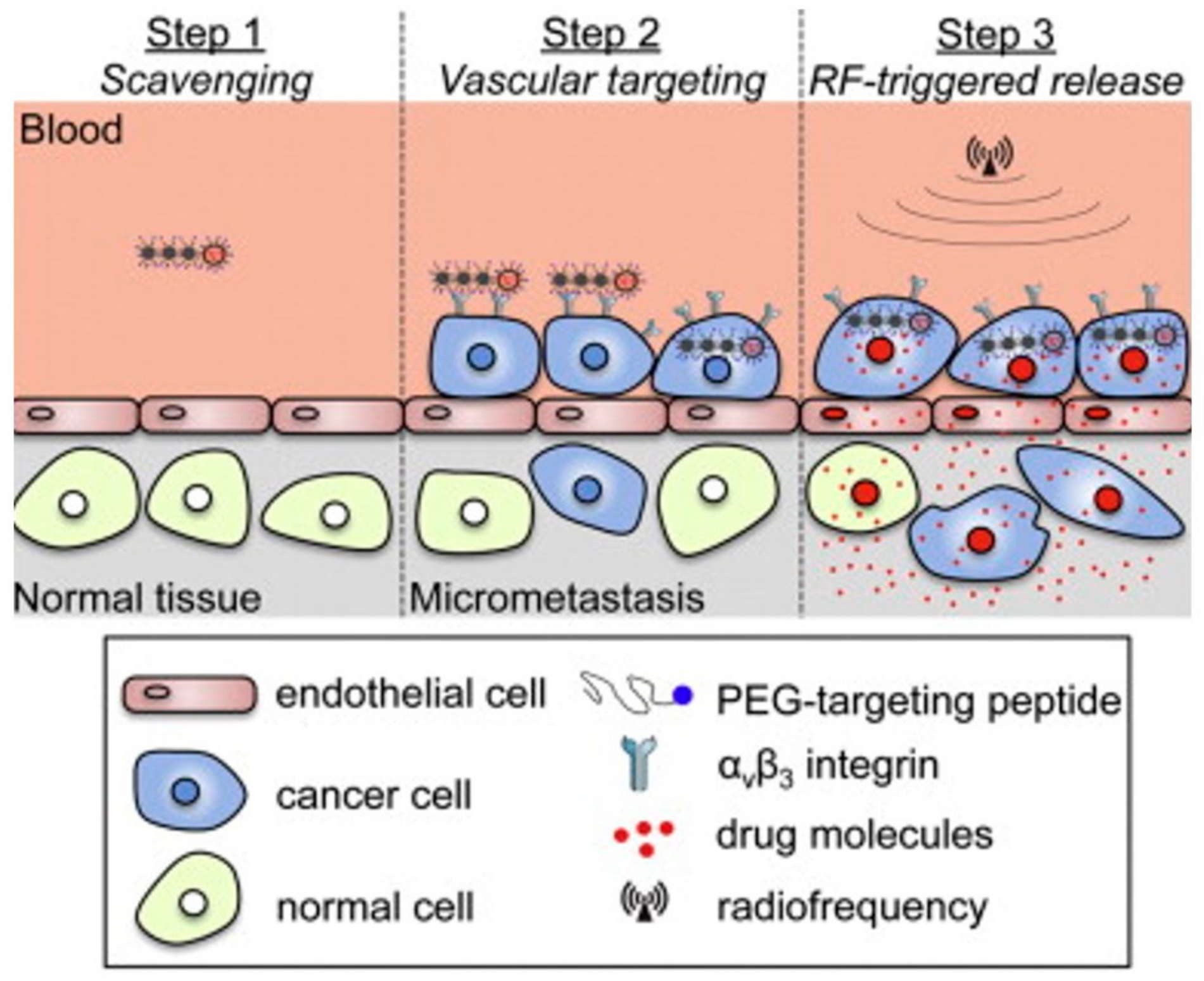 Pharmaceutics 13 01262 g013 Pharmaceutics 13 01262 g013