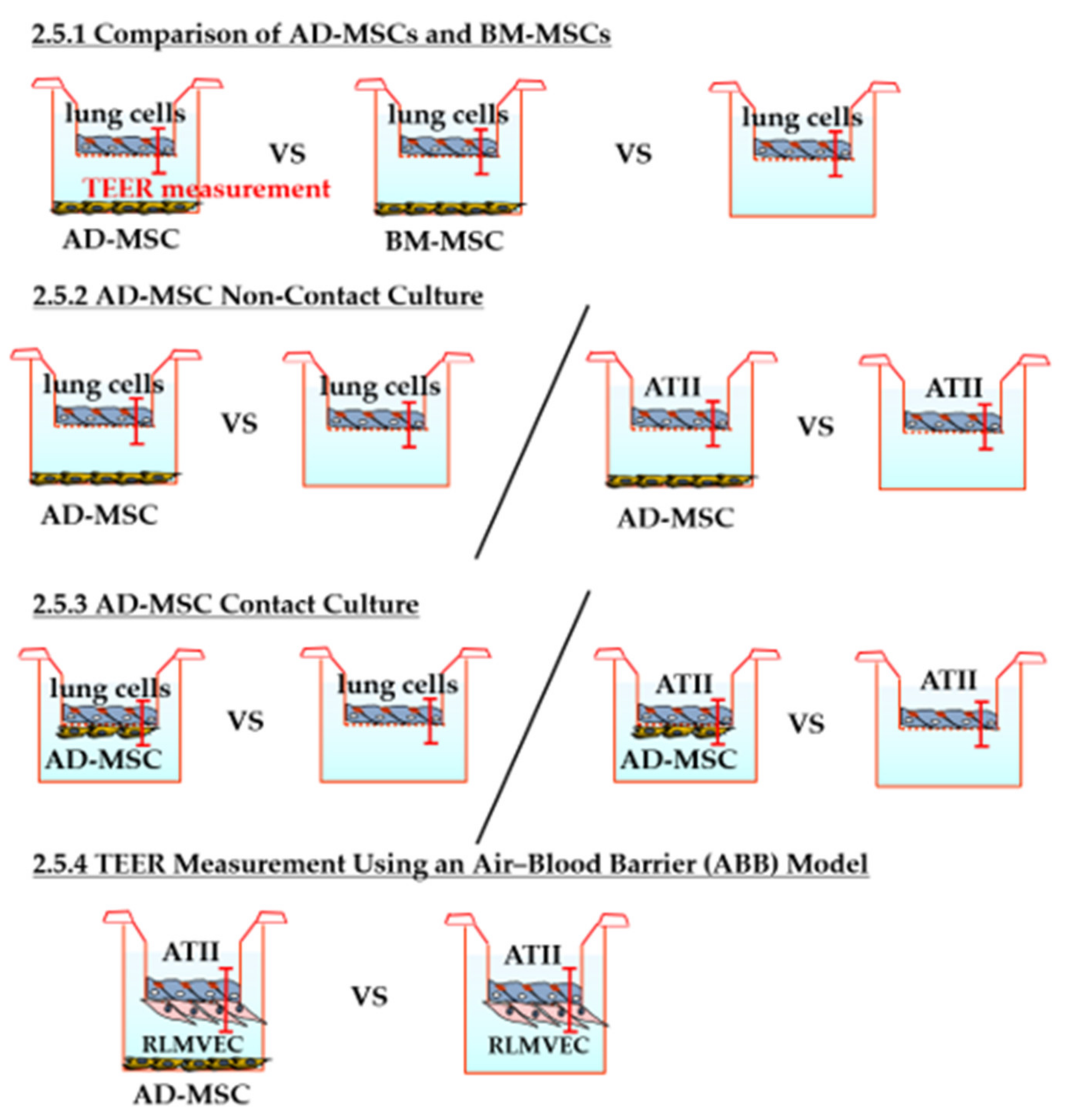 Pharmaceutics 13 01264 g001