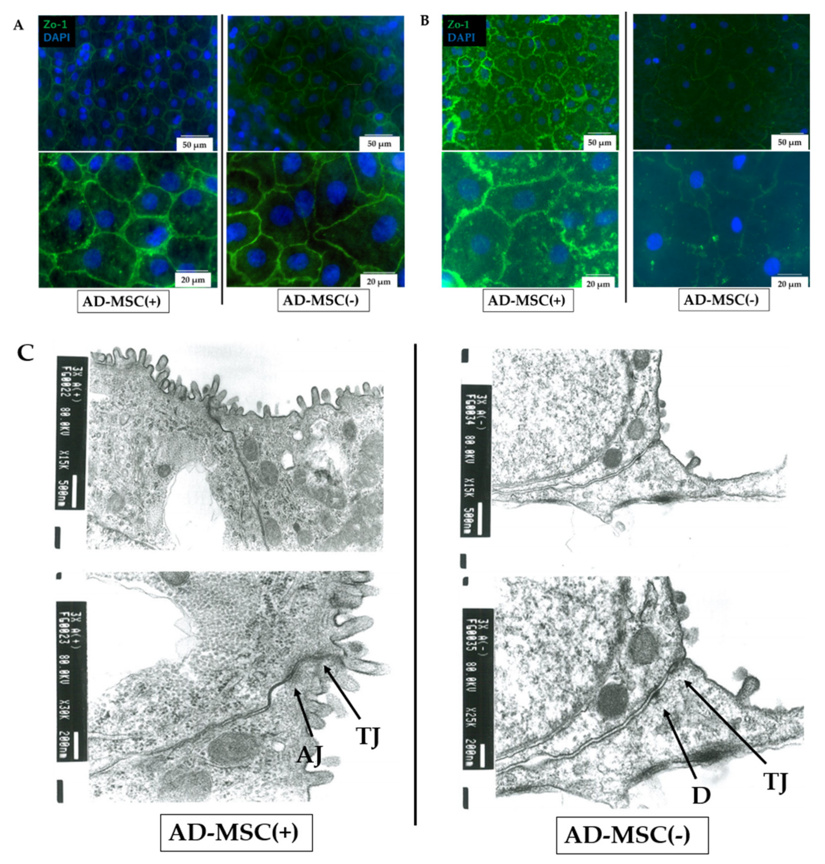 Pharmaceutics 13 01264 g006