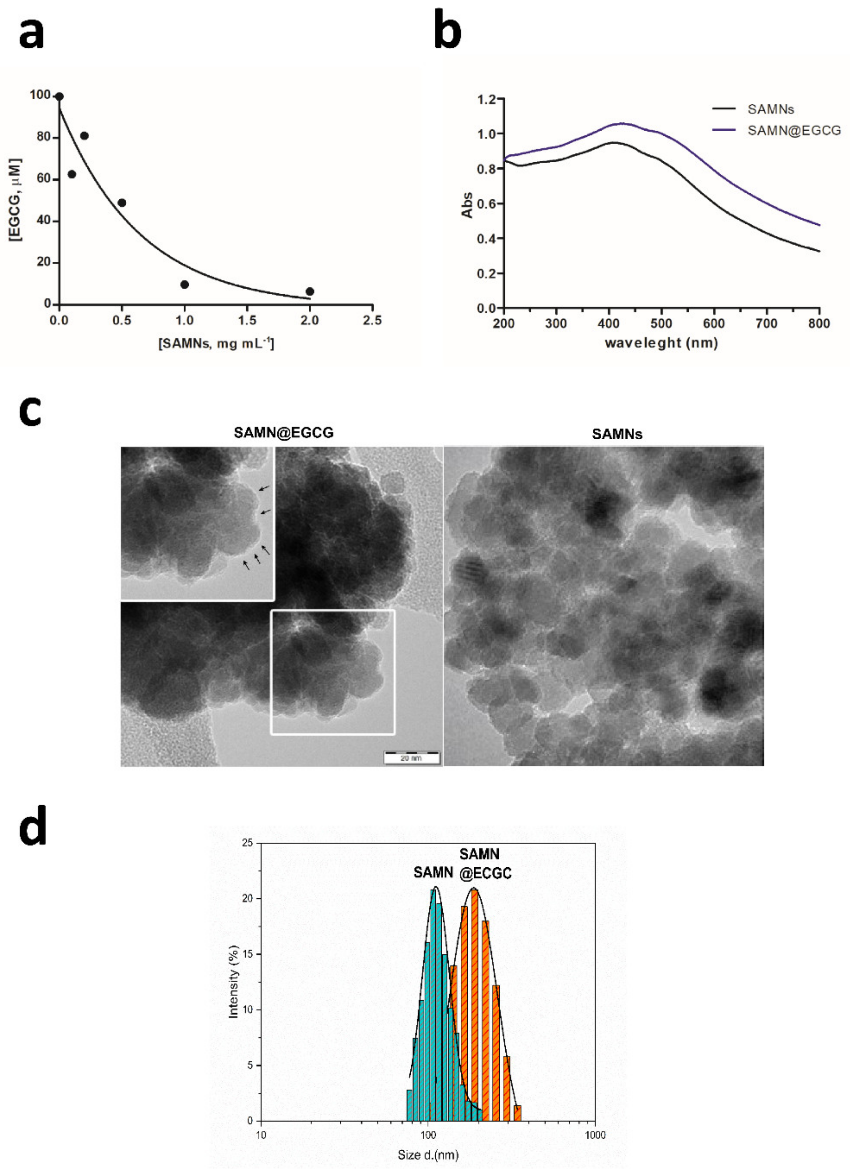 Pharmaceutics 13 01266 g001 550