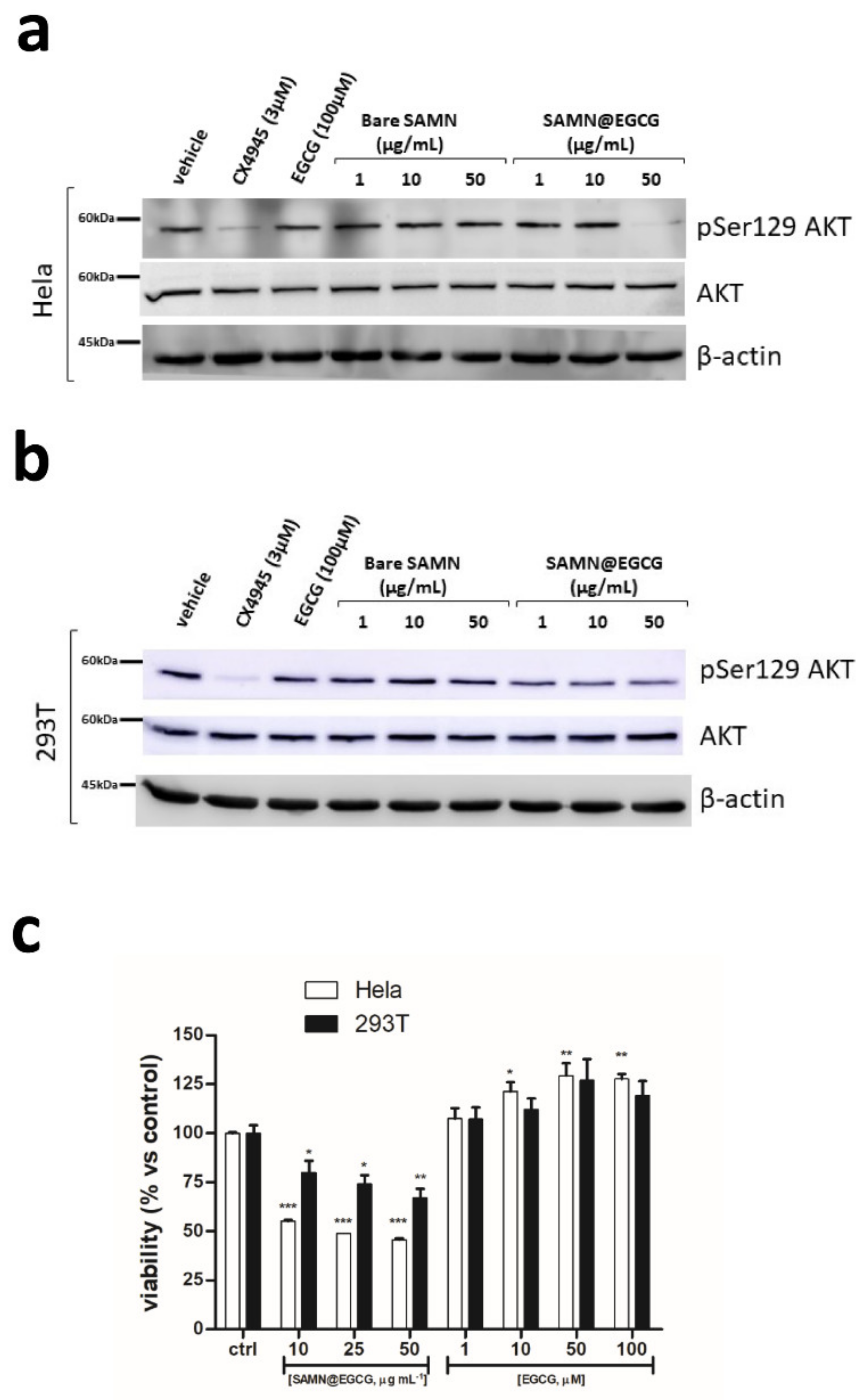 Pharmaceutics 13 01266 g004 550