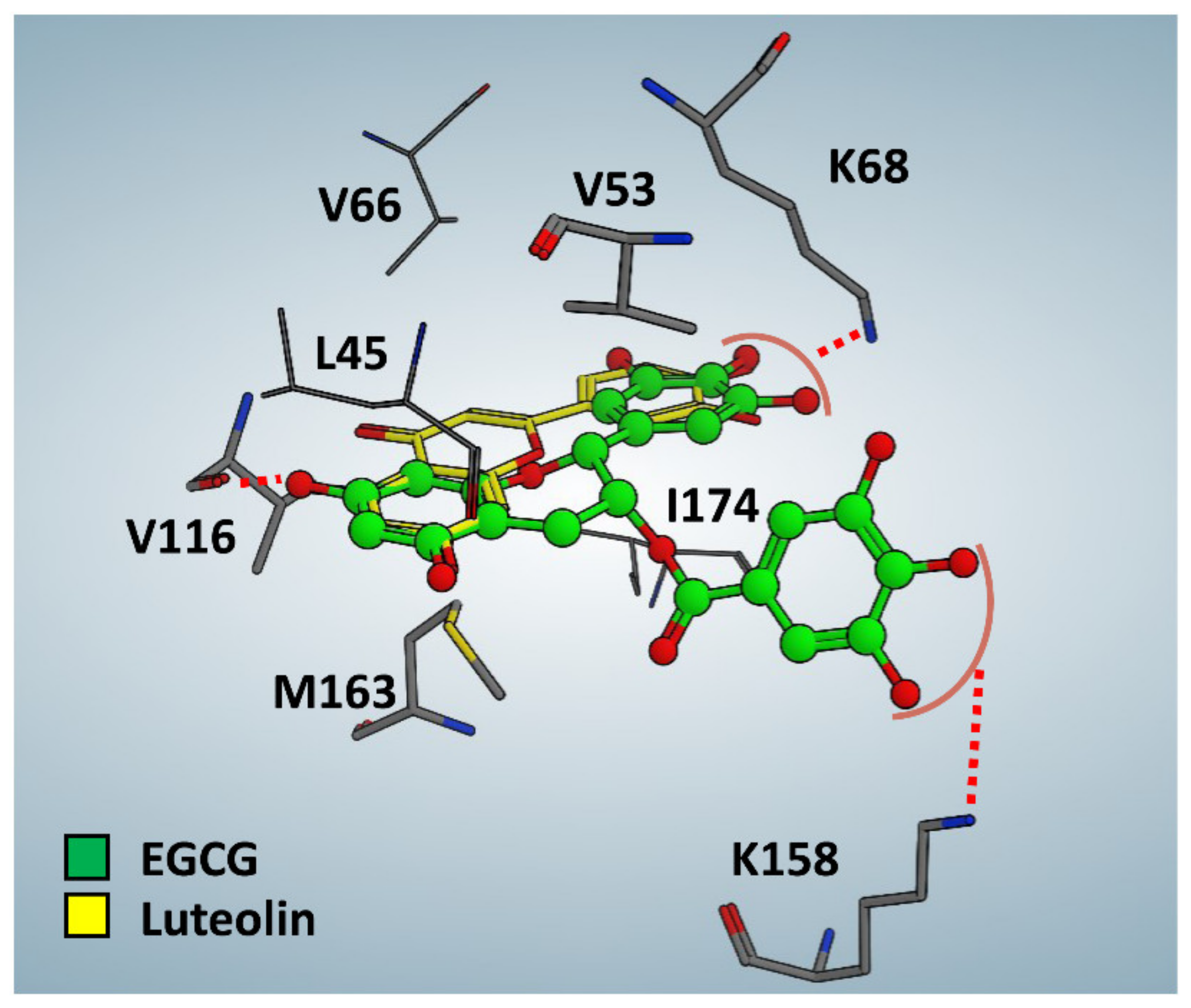Pharmaceutics 13 01266 g005 550