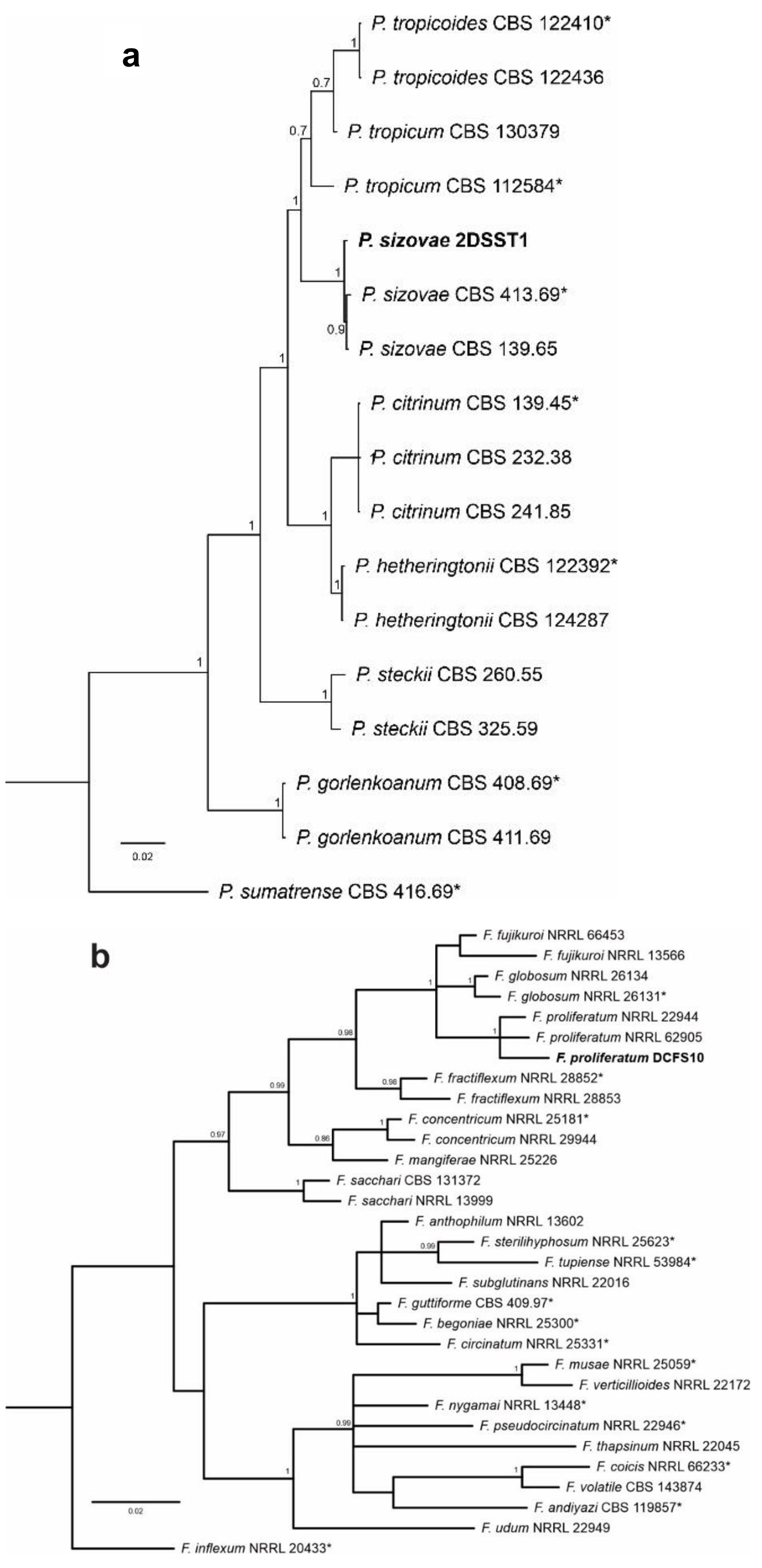 Pharmaceutics 13 01268 g004 Pharmaceutics 13 01268 g004