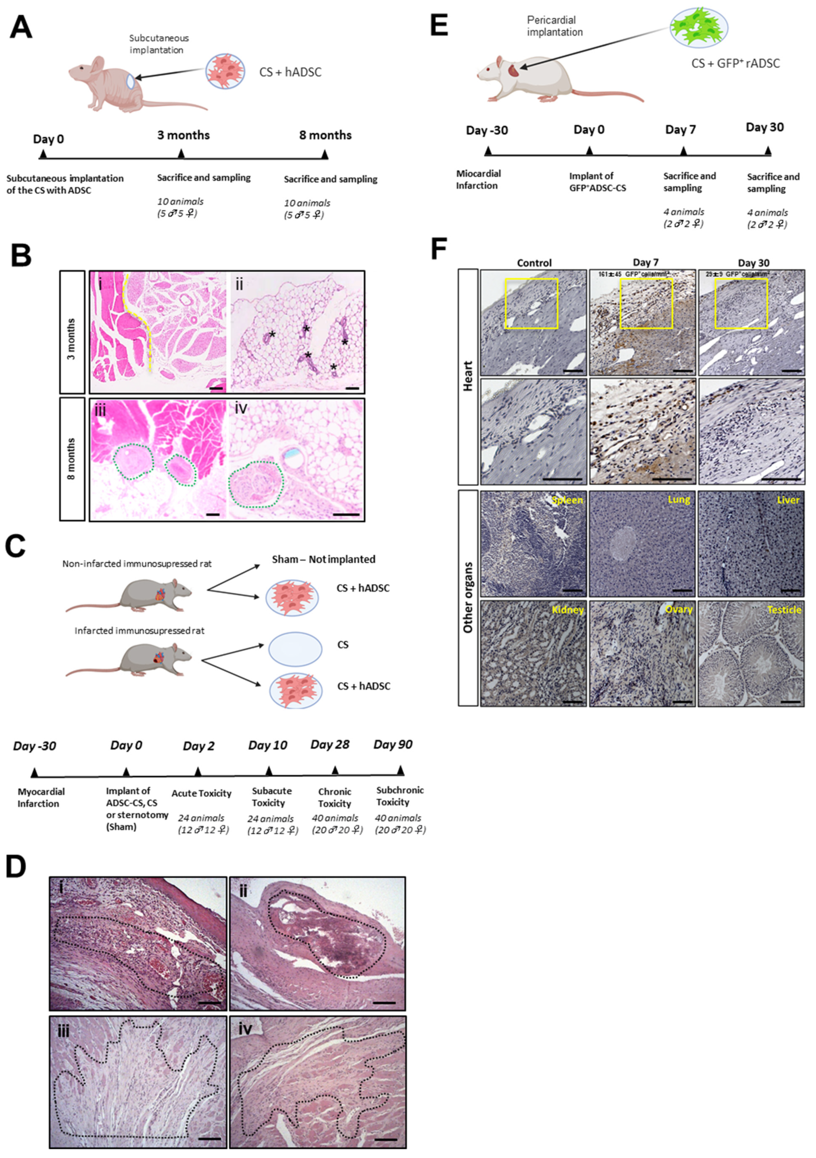 Pharmaceutics 13 01269 g001