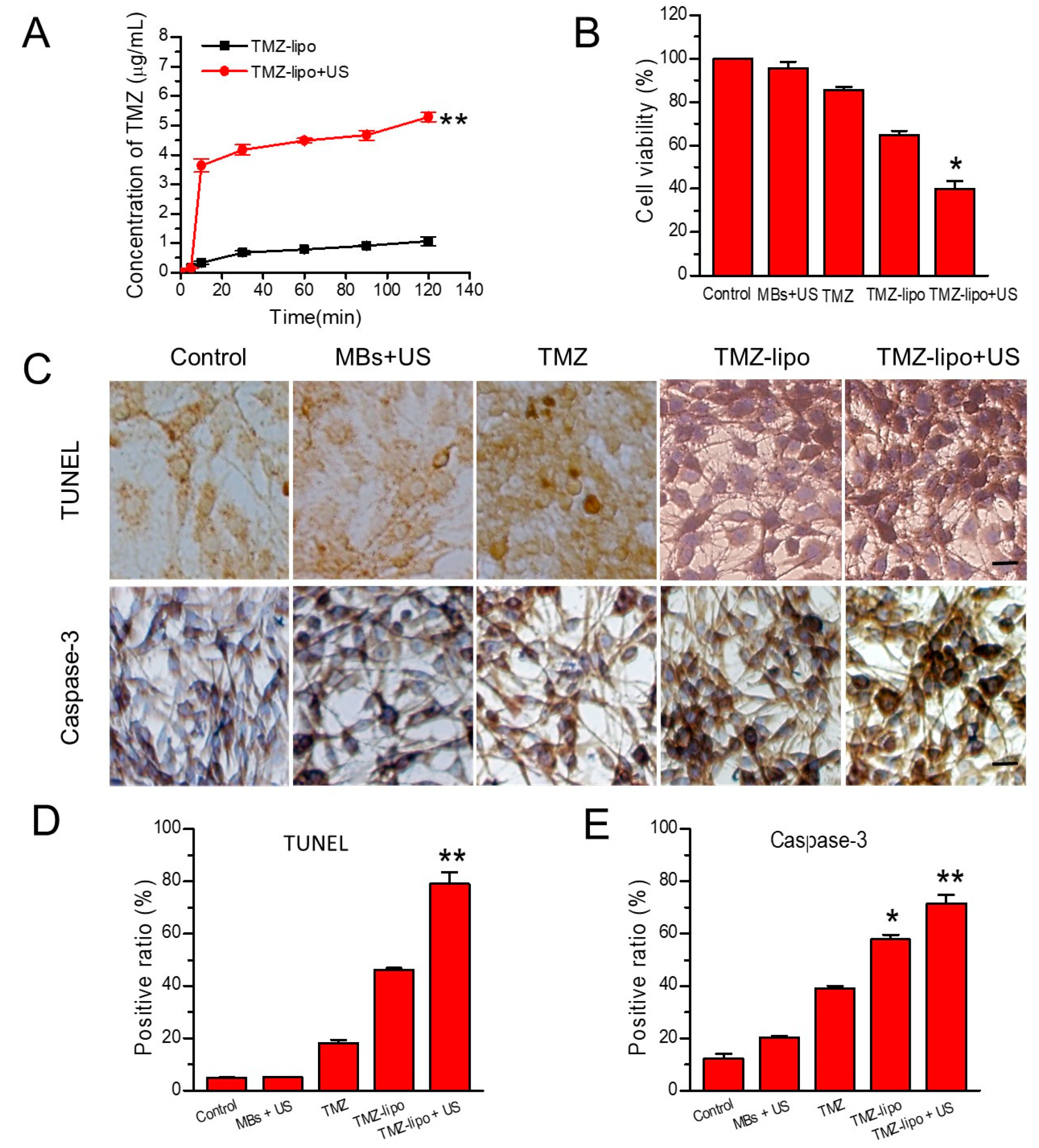 Pharmaceutics 13 01270 g004 550