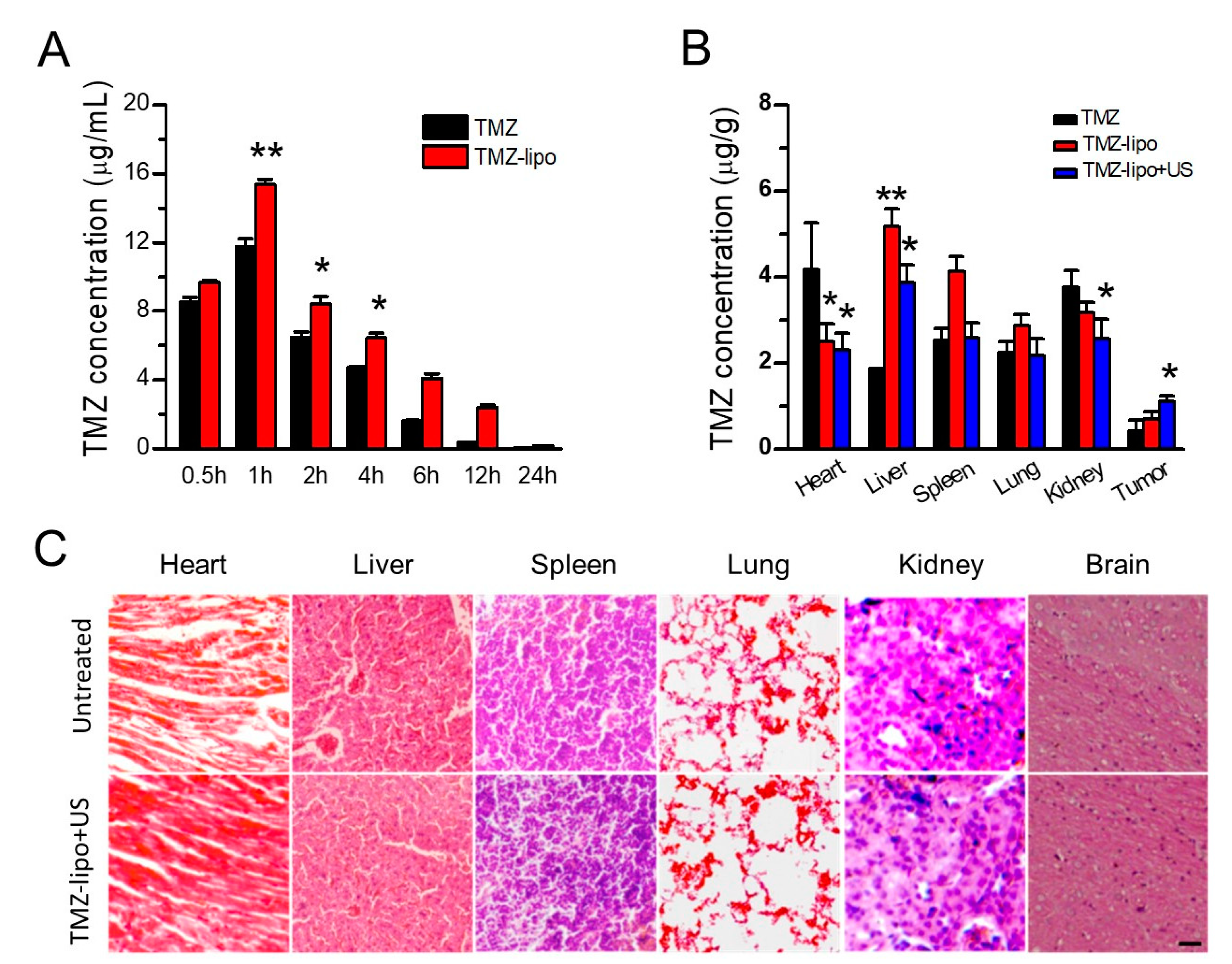 Pharmaceutics 13 01270 g005 550