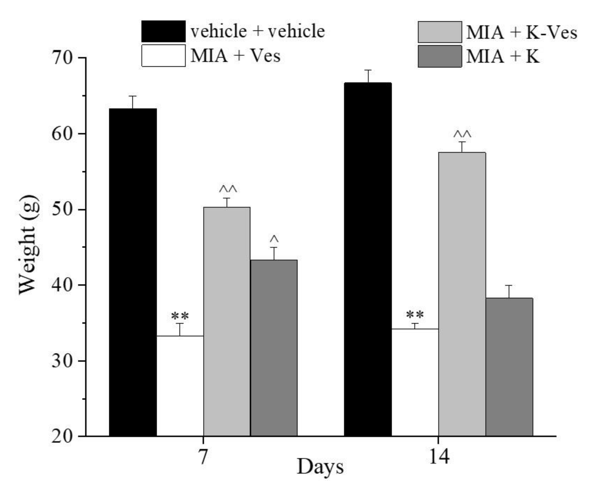 Pharmaceutics 13 01275 g004 Pharmaceutics 13 01275 g004