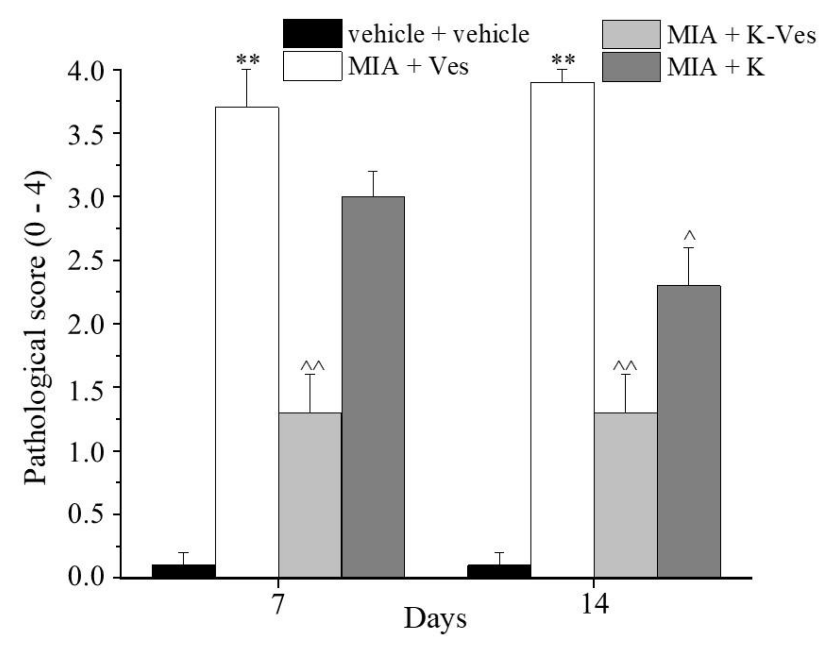 Pharmaceutics 13 01275 g007 Pharmaceutics 13 01275 g007