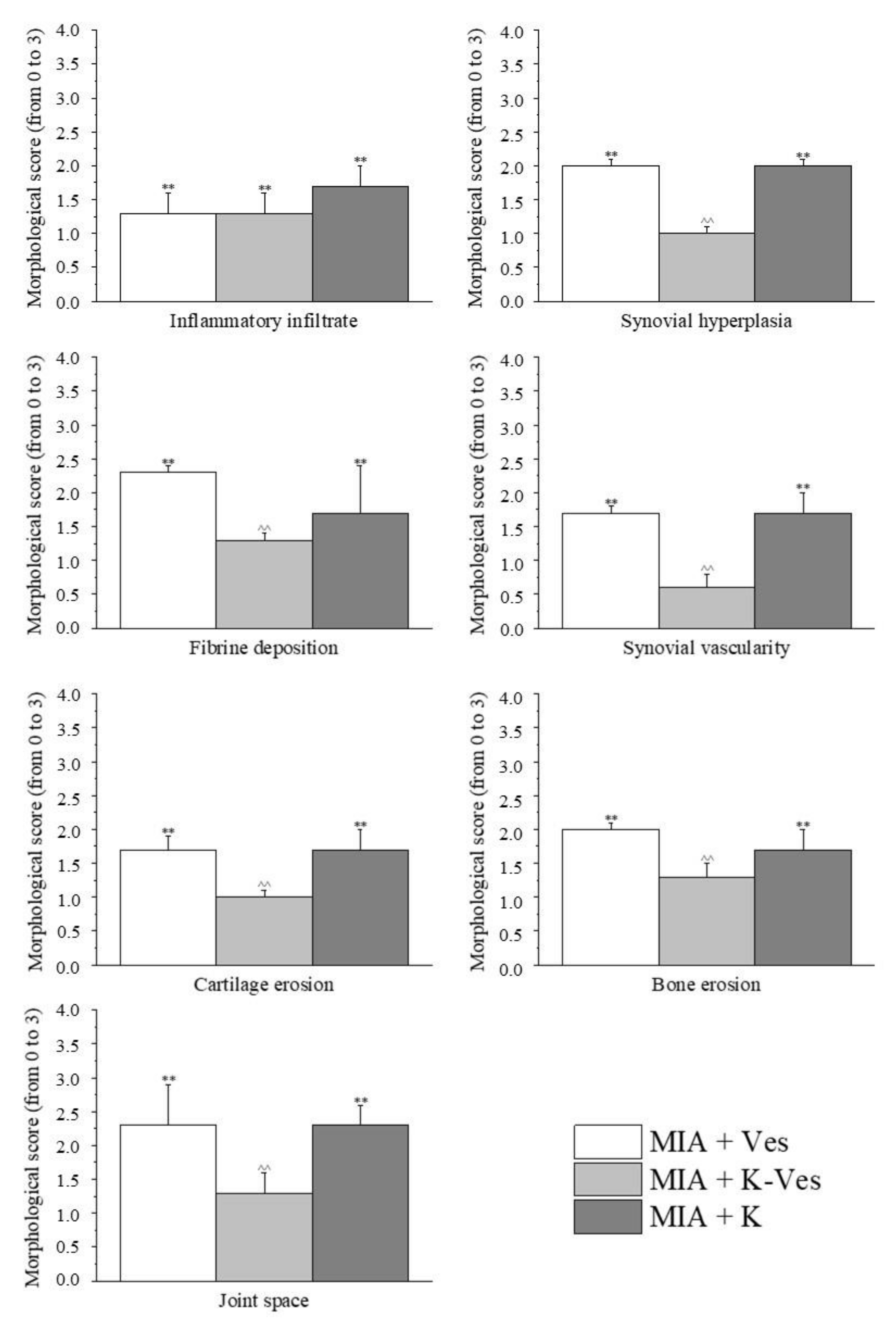 Pharmaceutics 13 01275 g008 Pharmaceutics 13 01275 g008