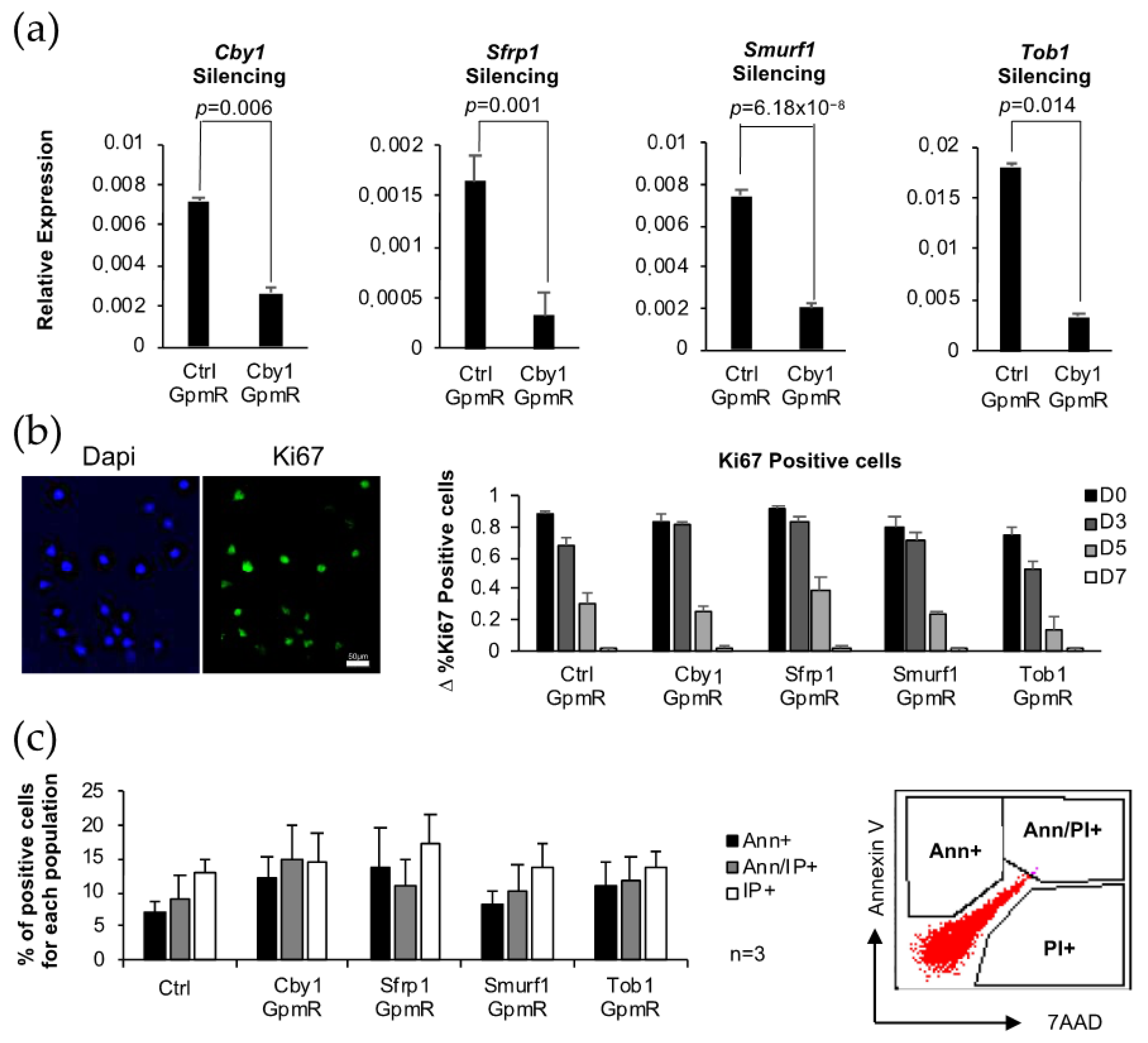 Pharmaceutics 13 01277 g001a 550