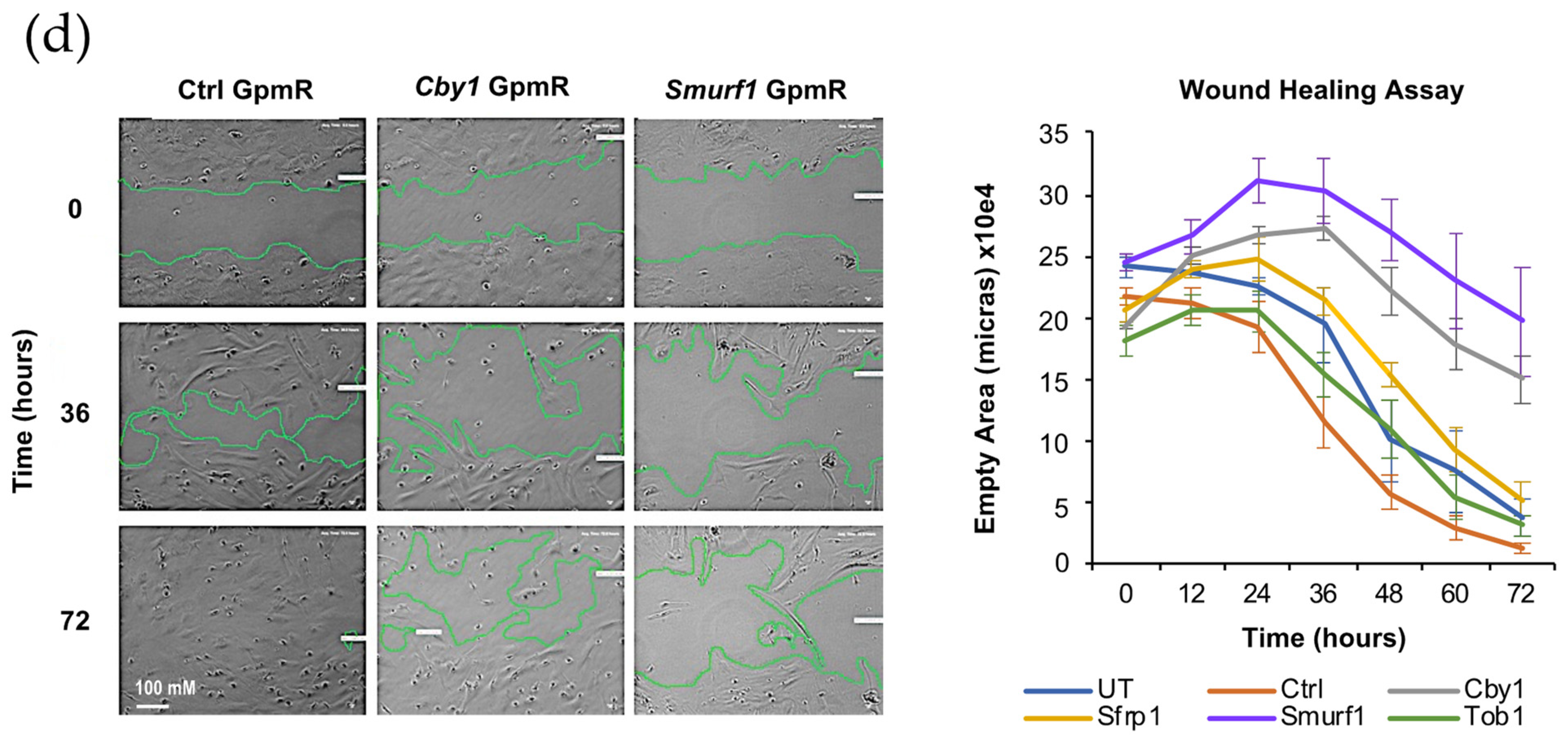 Pharmaceutics 13 01277 g001b 550