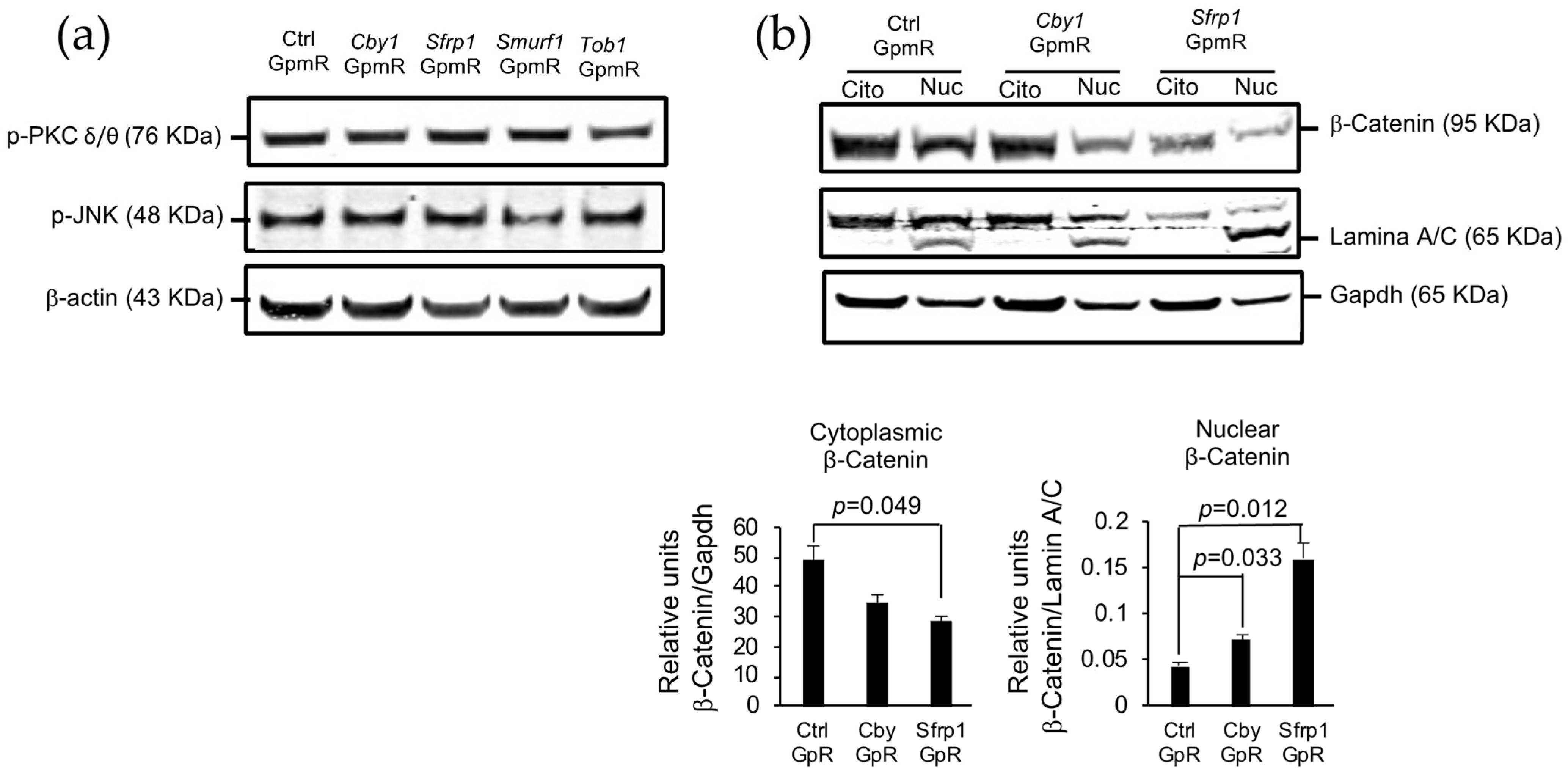 Pharmaceutics 13 01277 g002 550