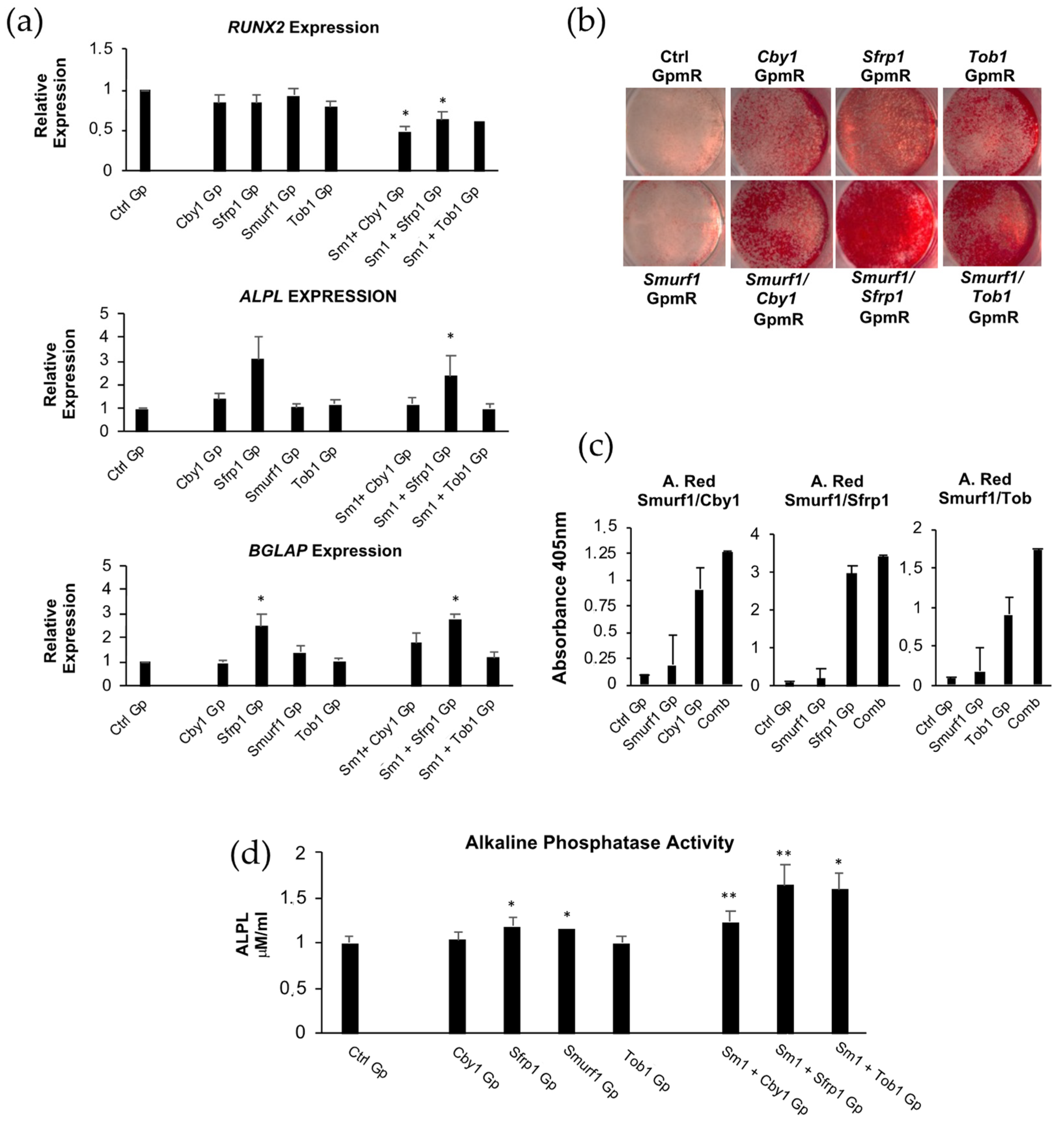 Pharmaceutics 13 01277 g003 550